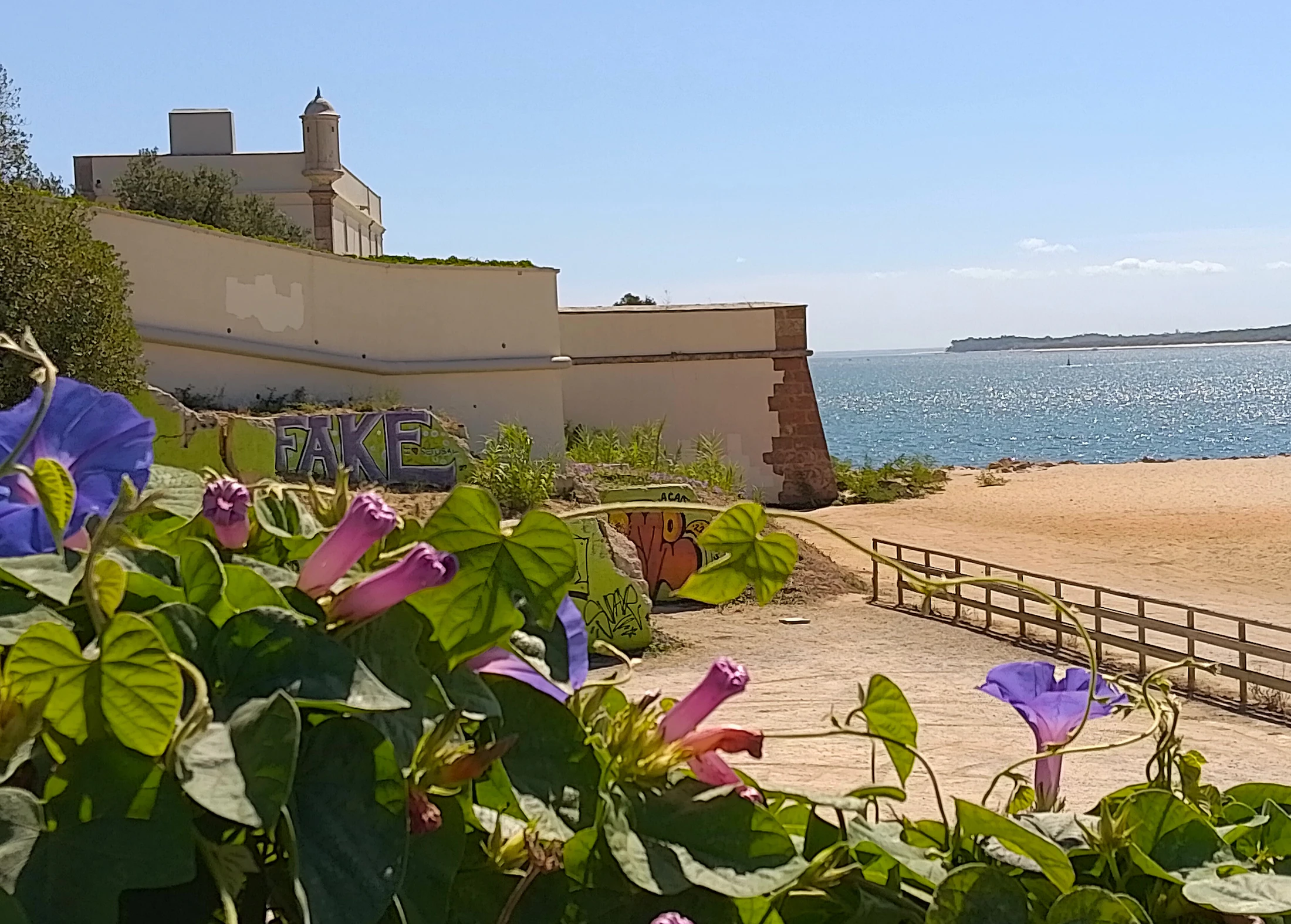 Remparts de pierre fleuris au bord de la mer, photo d’illustration