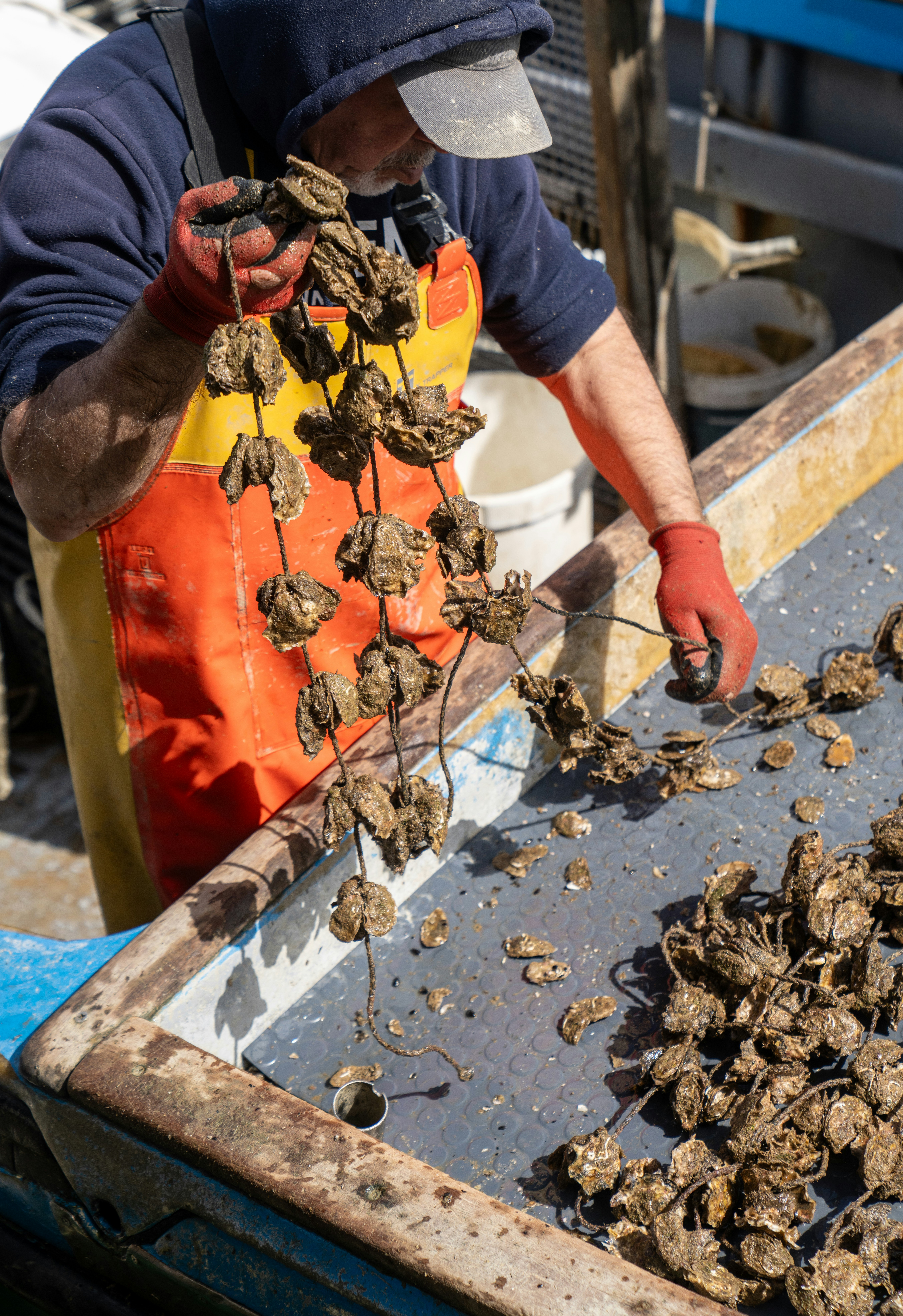 Photo by mitiliemitili