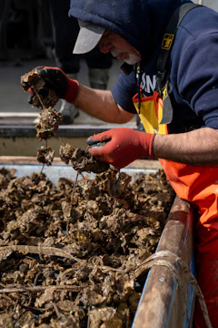 A man in a blue jacket and orange pants is picking up seaweed