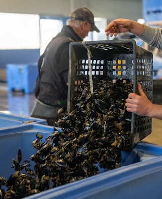 A man holding a basket full of mussels