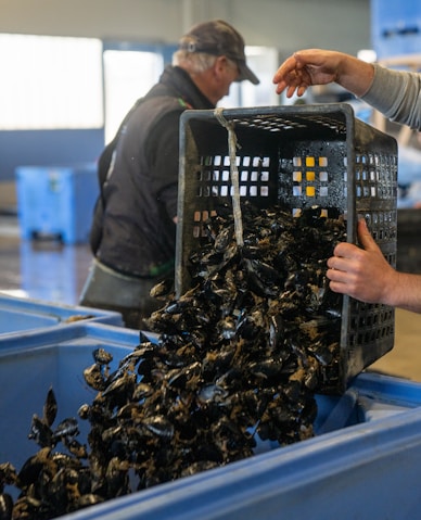 A man holding a basket full of mussels