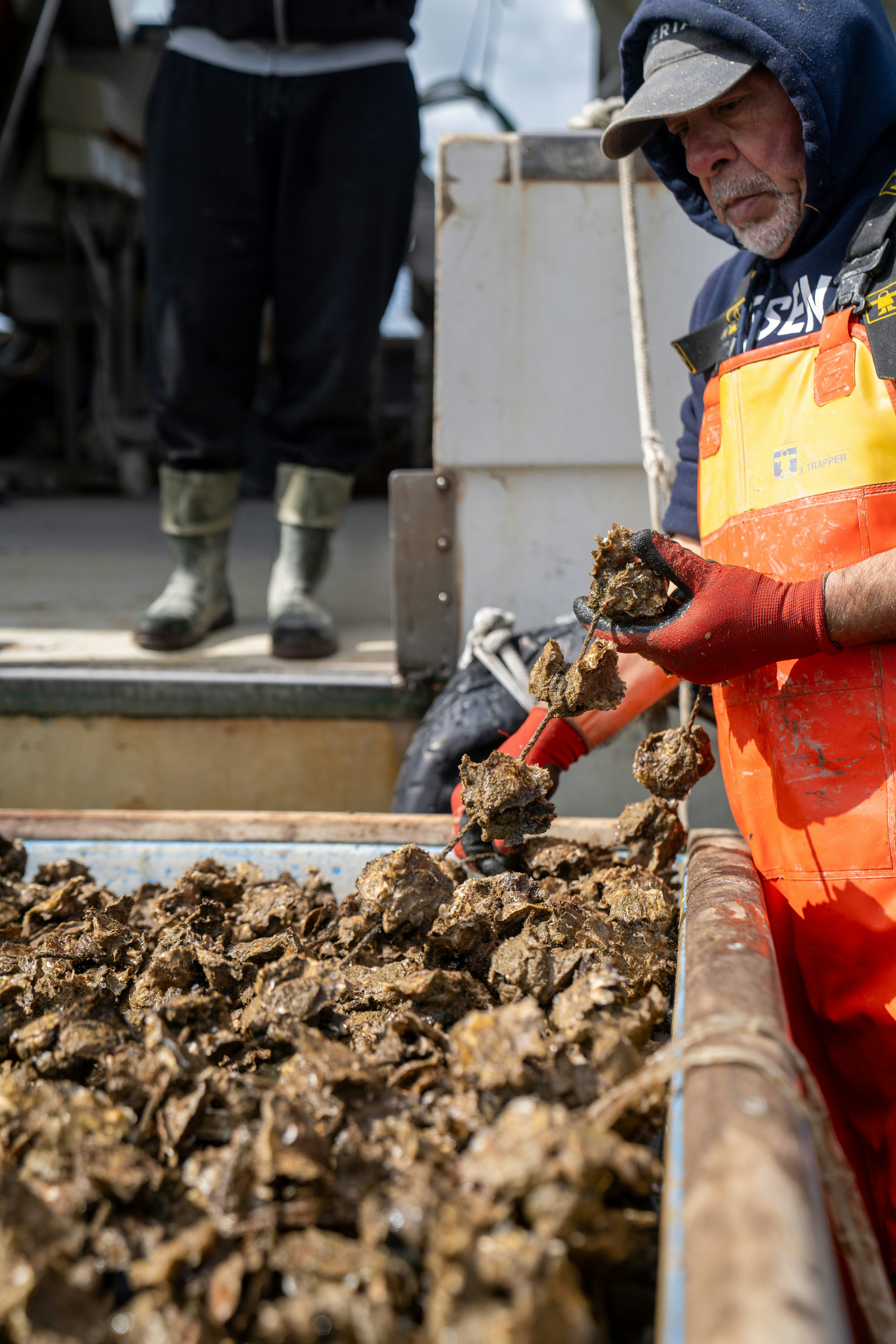 Photo by mitiliemitili