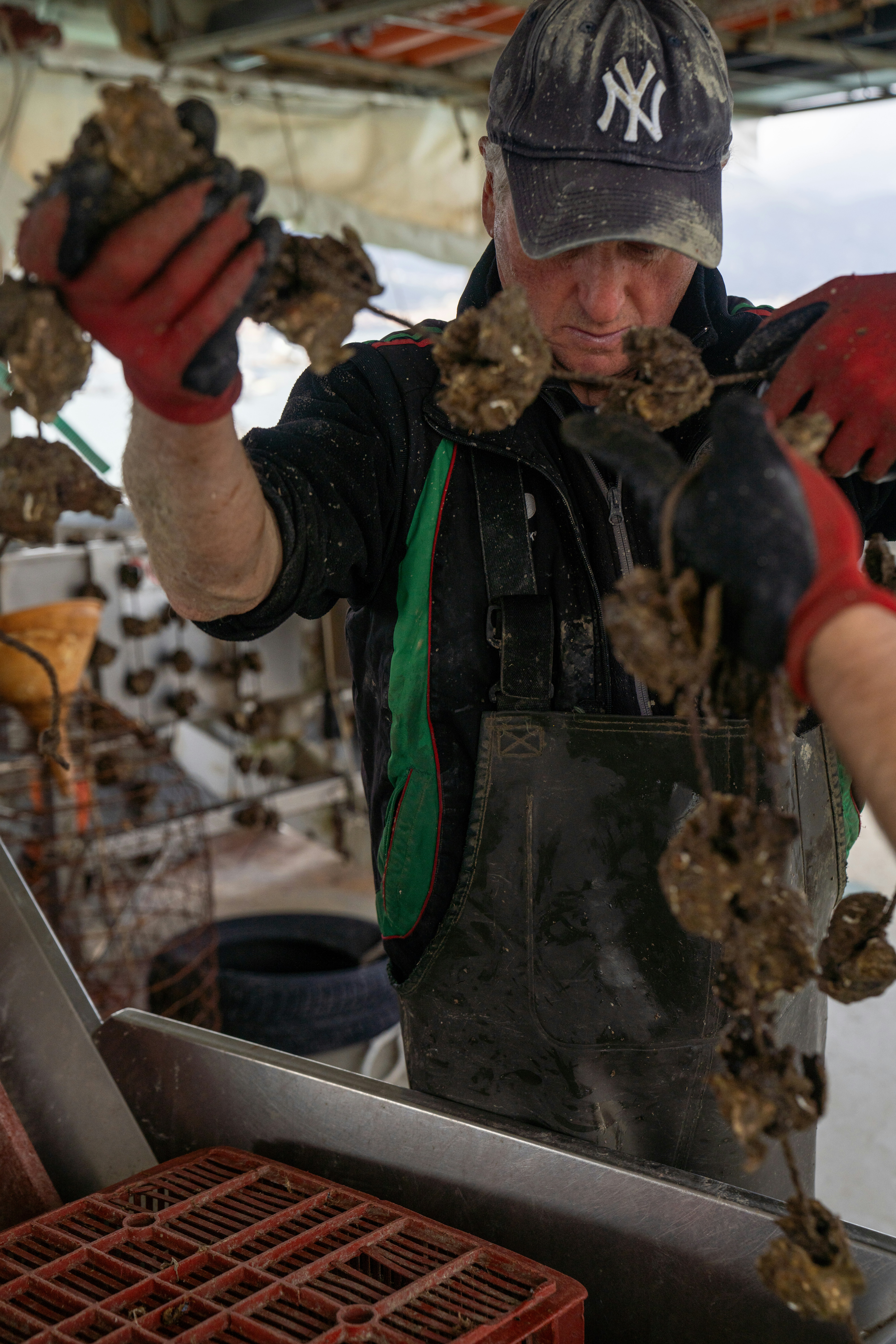 Photo by mitiliemitili