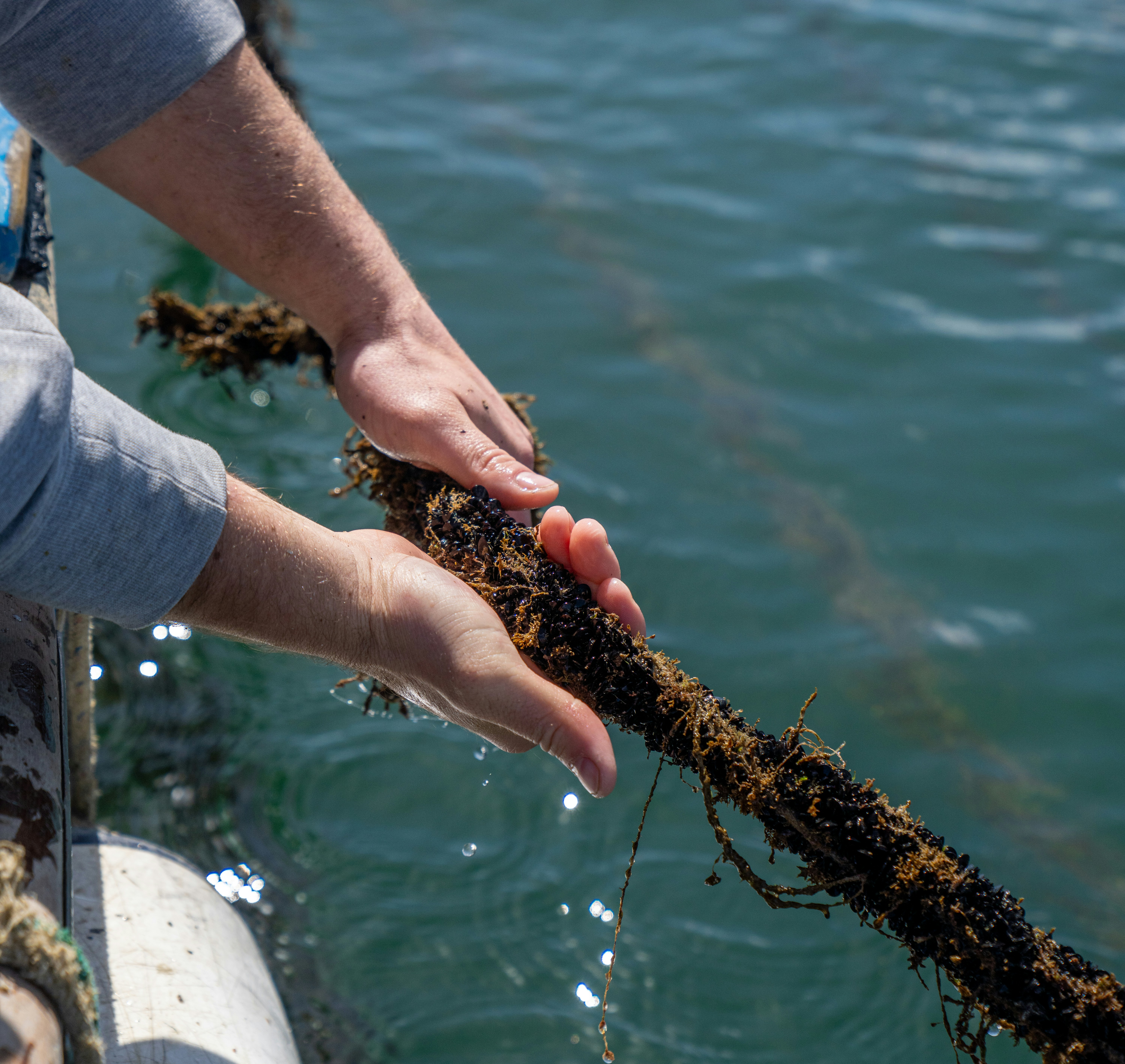 Photo by mitiliemitili