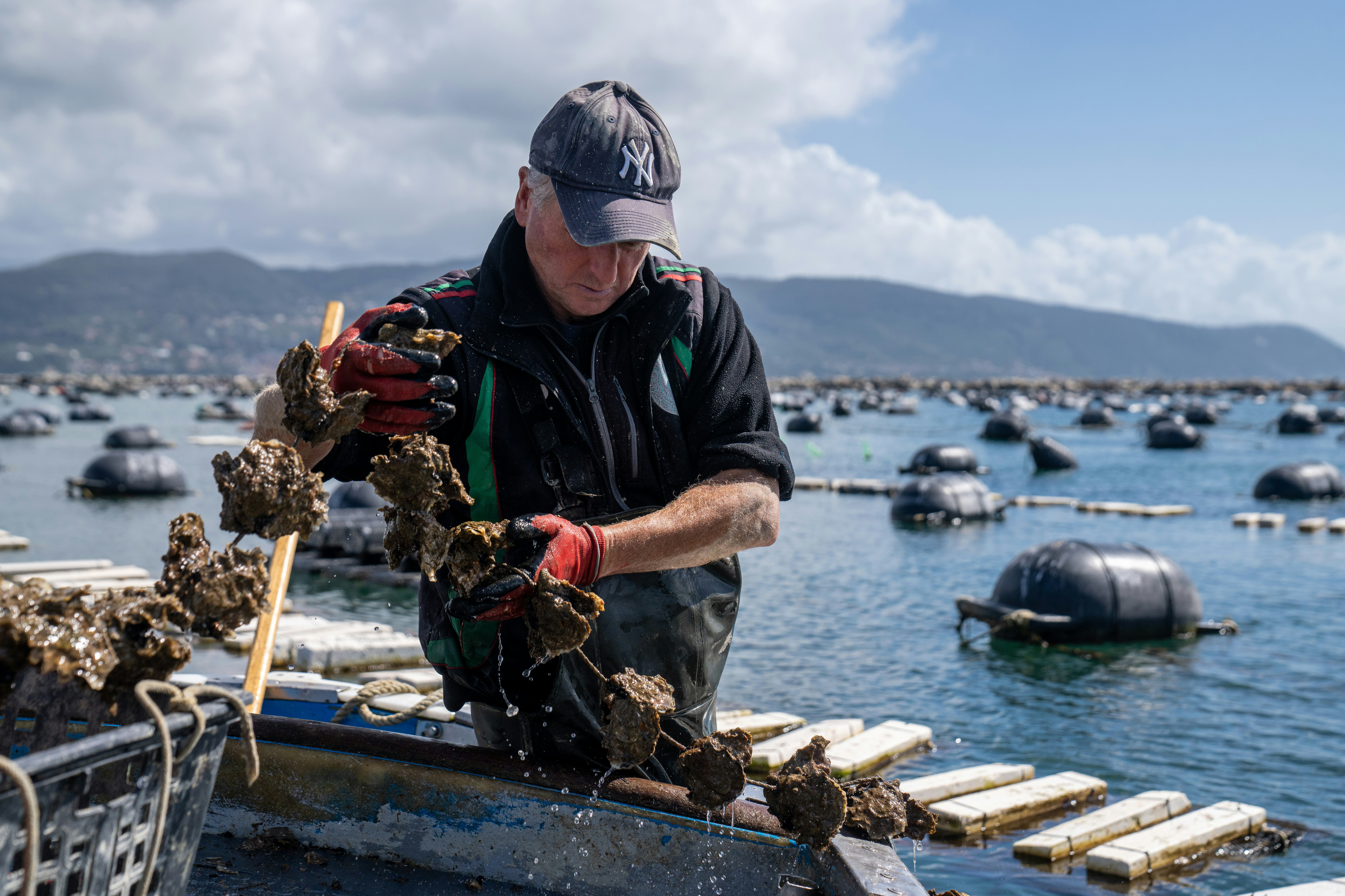 Photo by mitiliemitili