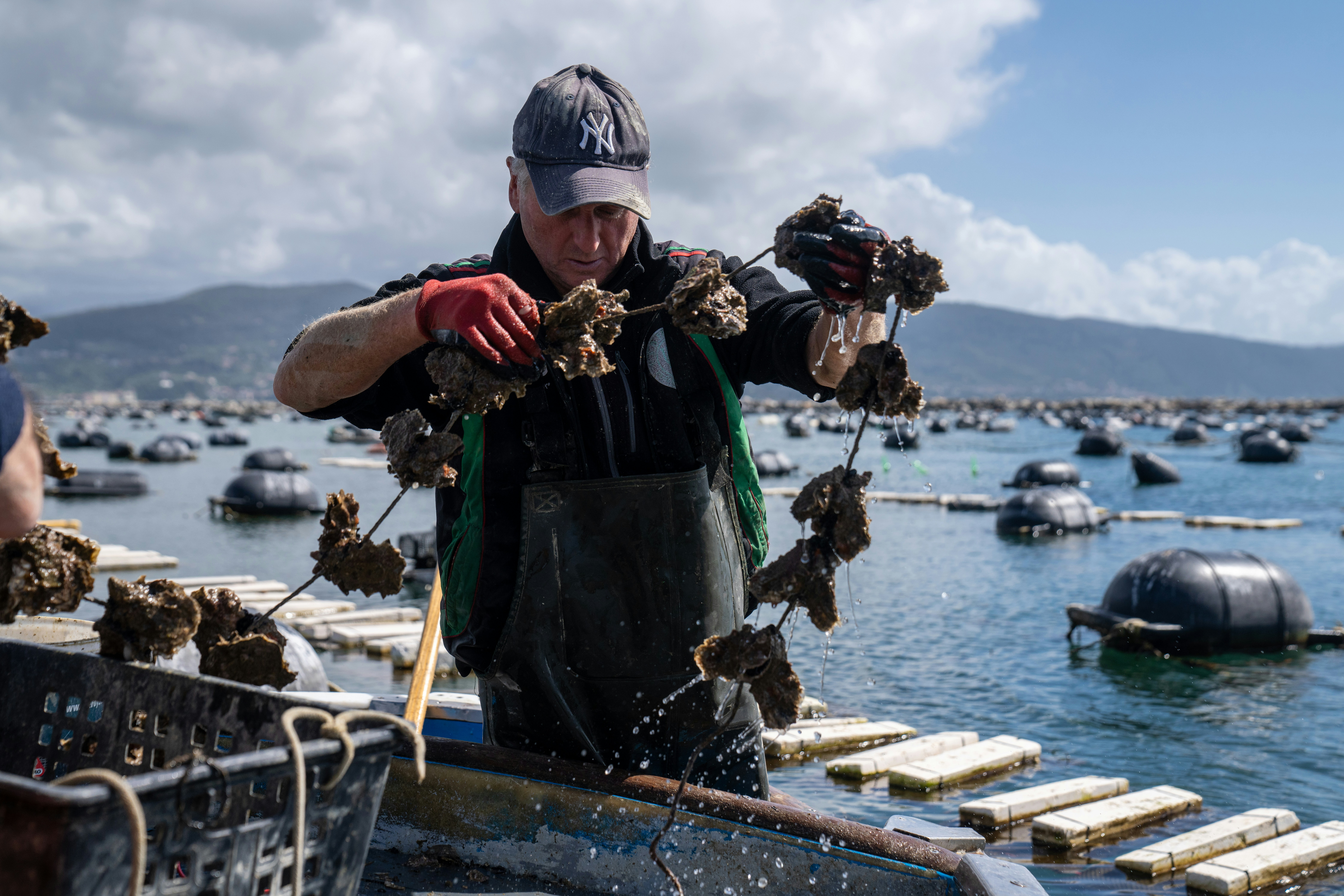 Photo by mitiliemitili