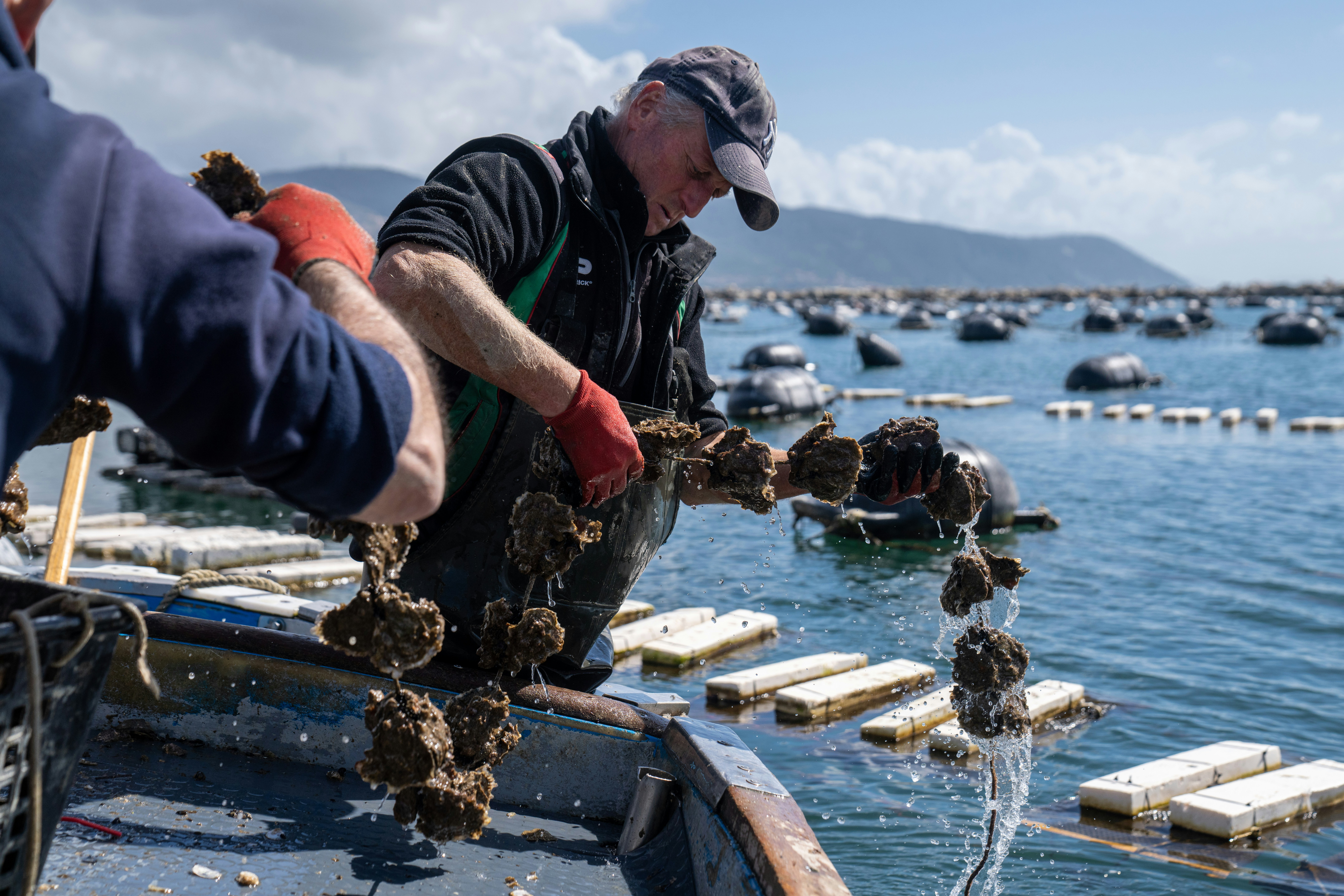 Photo by mitiliemitili