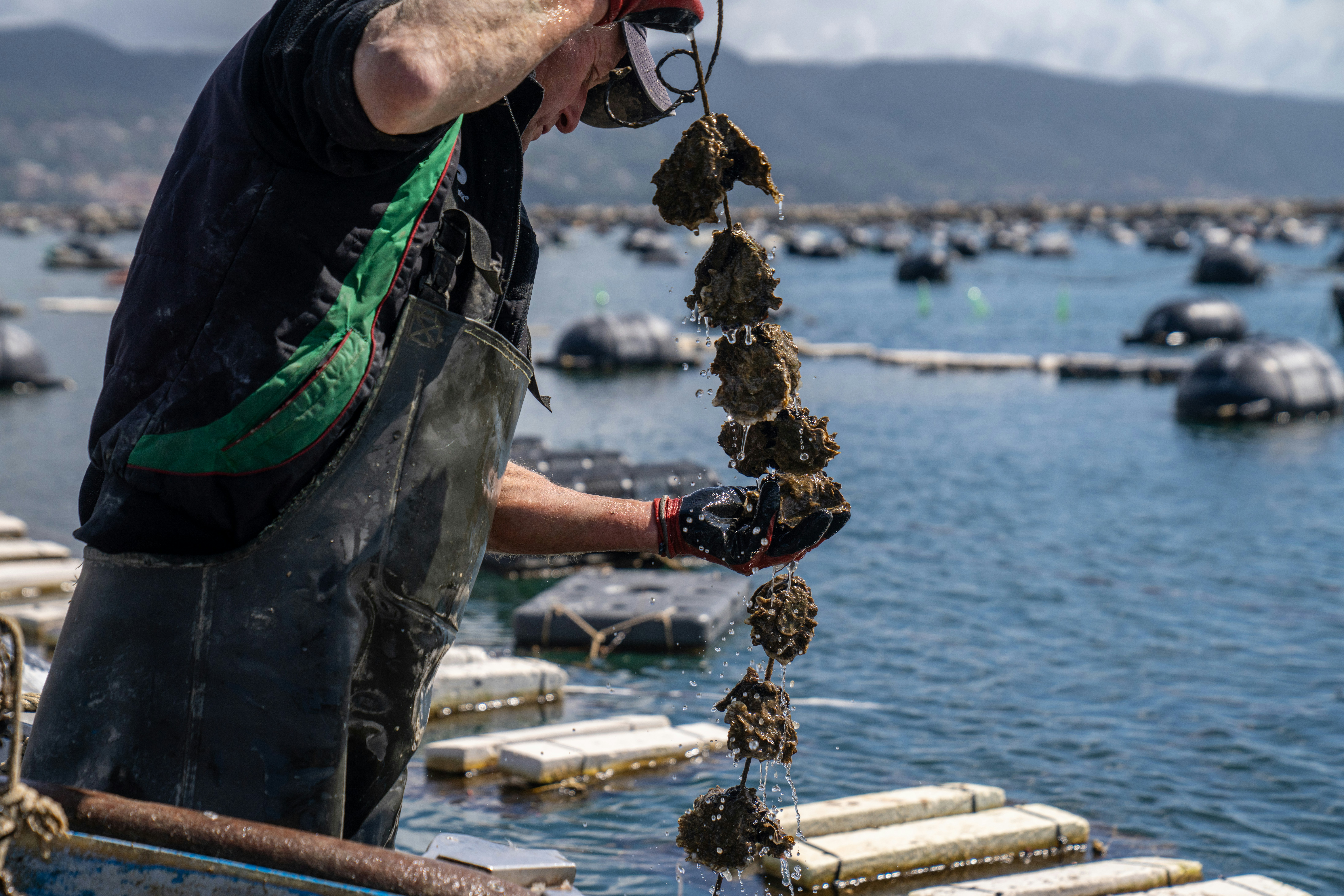 Photo by mitiliemitili