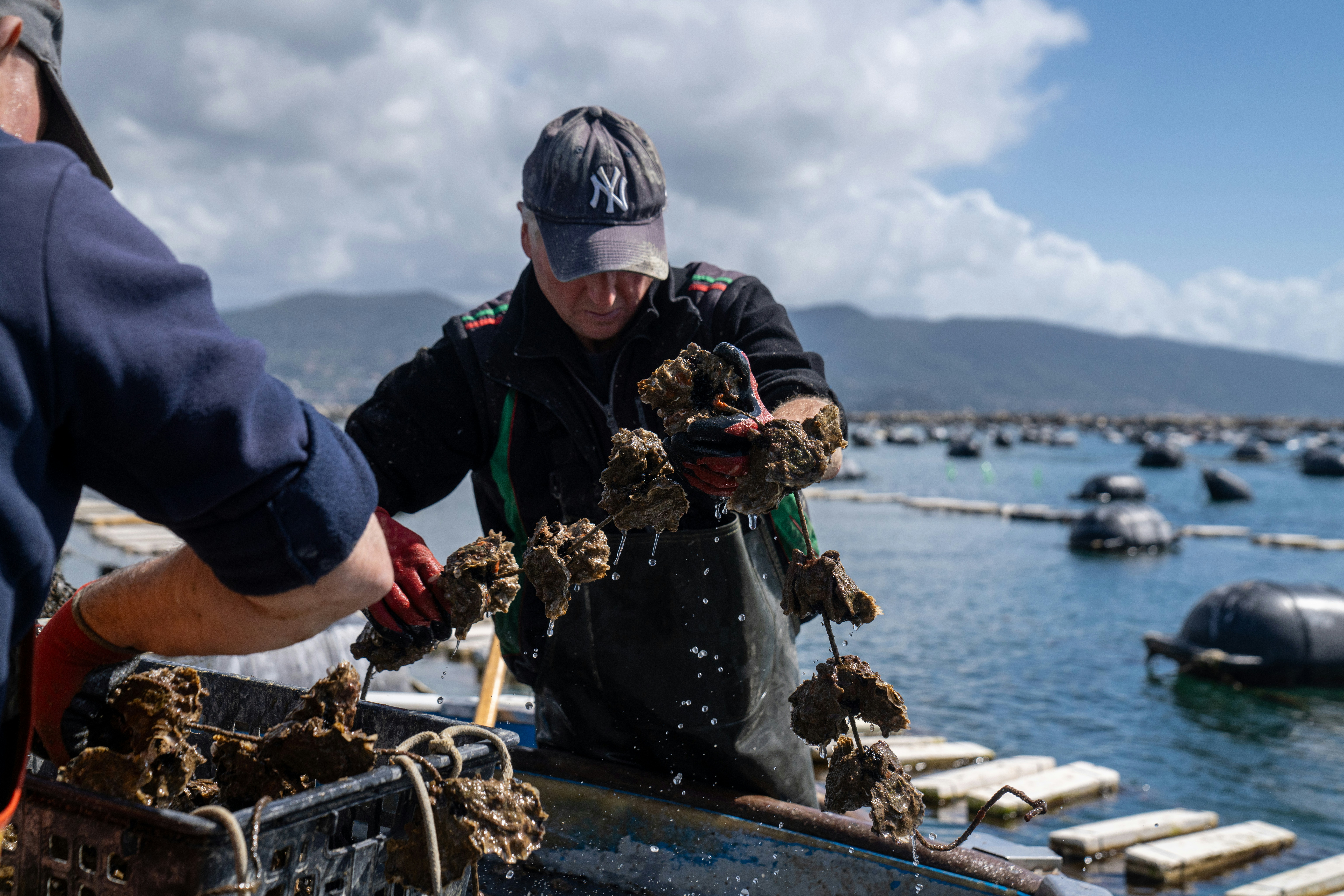 Photo by mitiliemitili