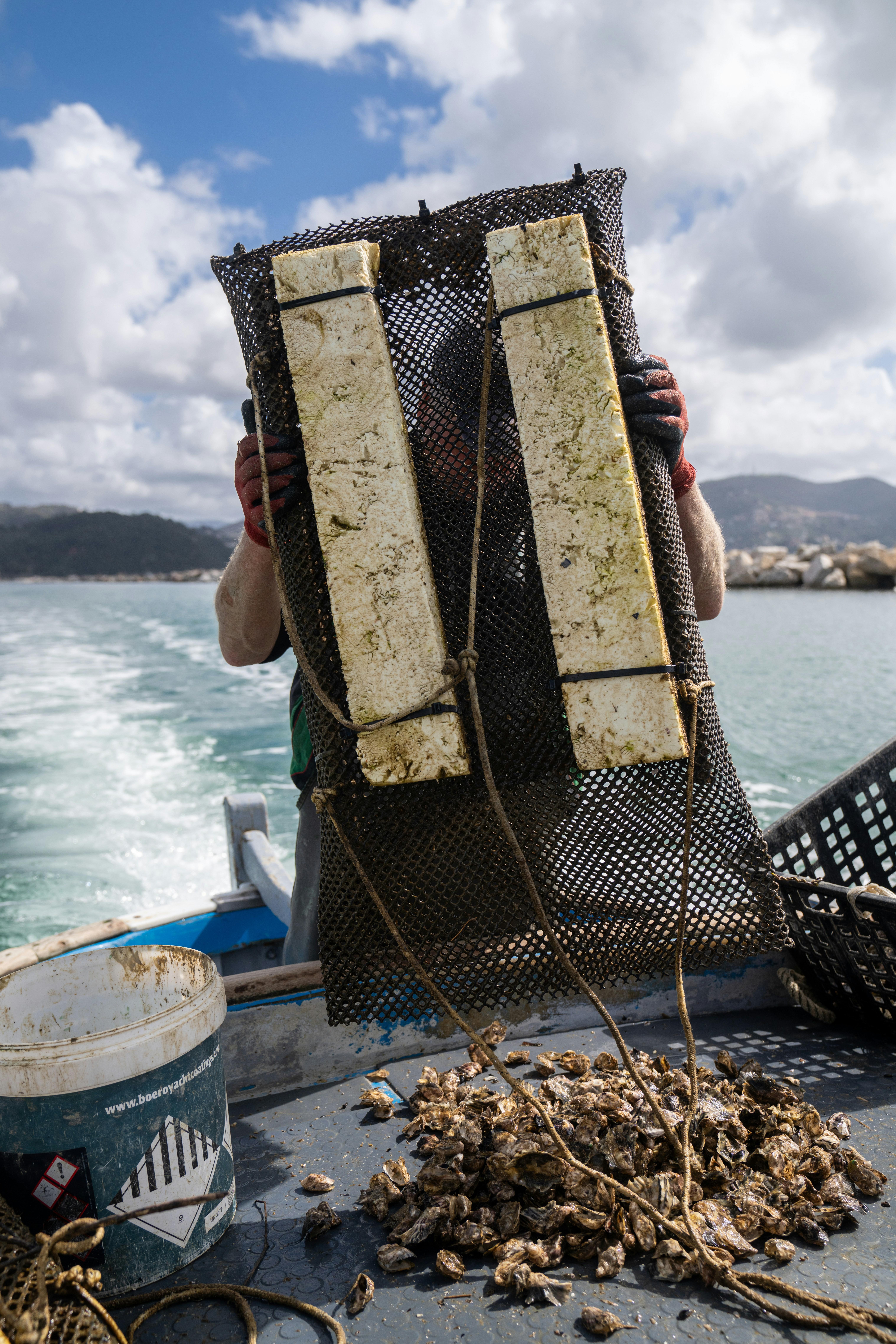 Photo by mitiliemitili