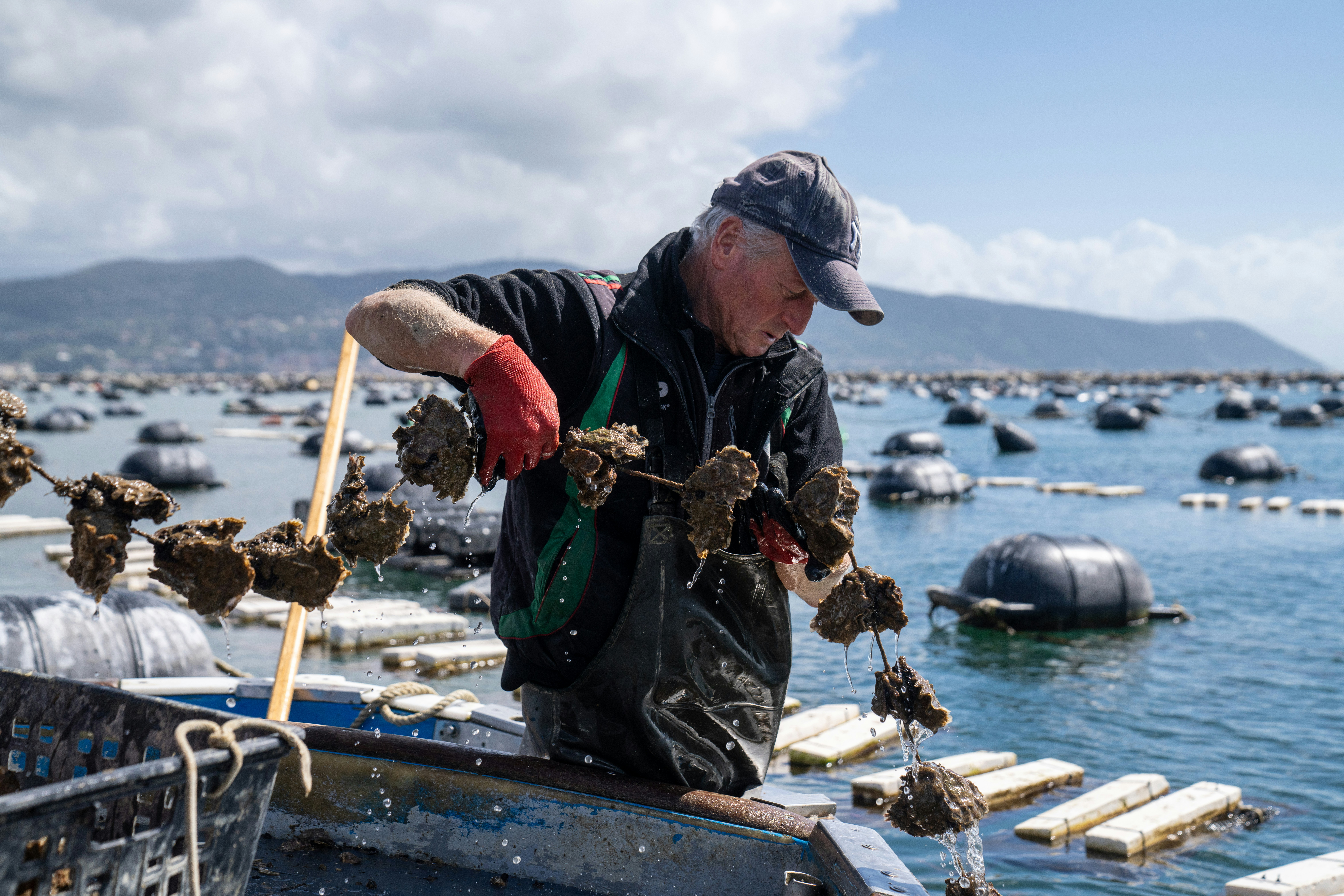 Photo by mitiliemitili