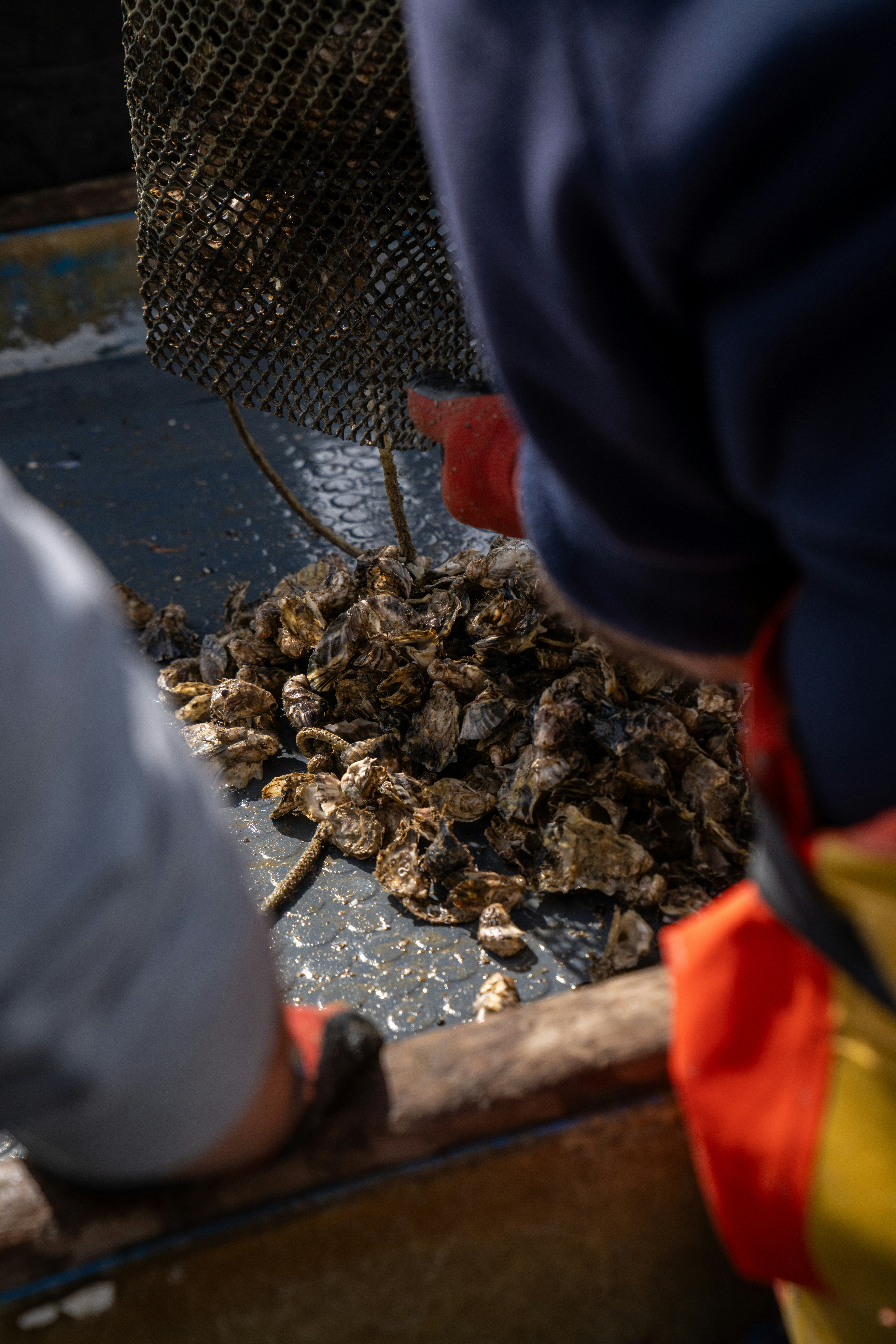 Photo by mitiliemitili