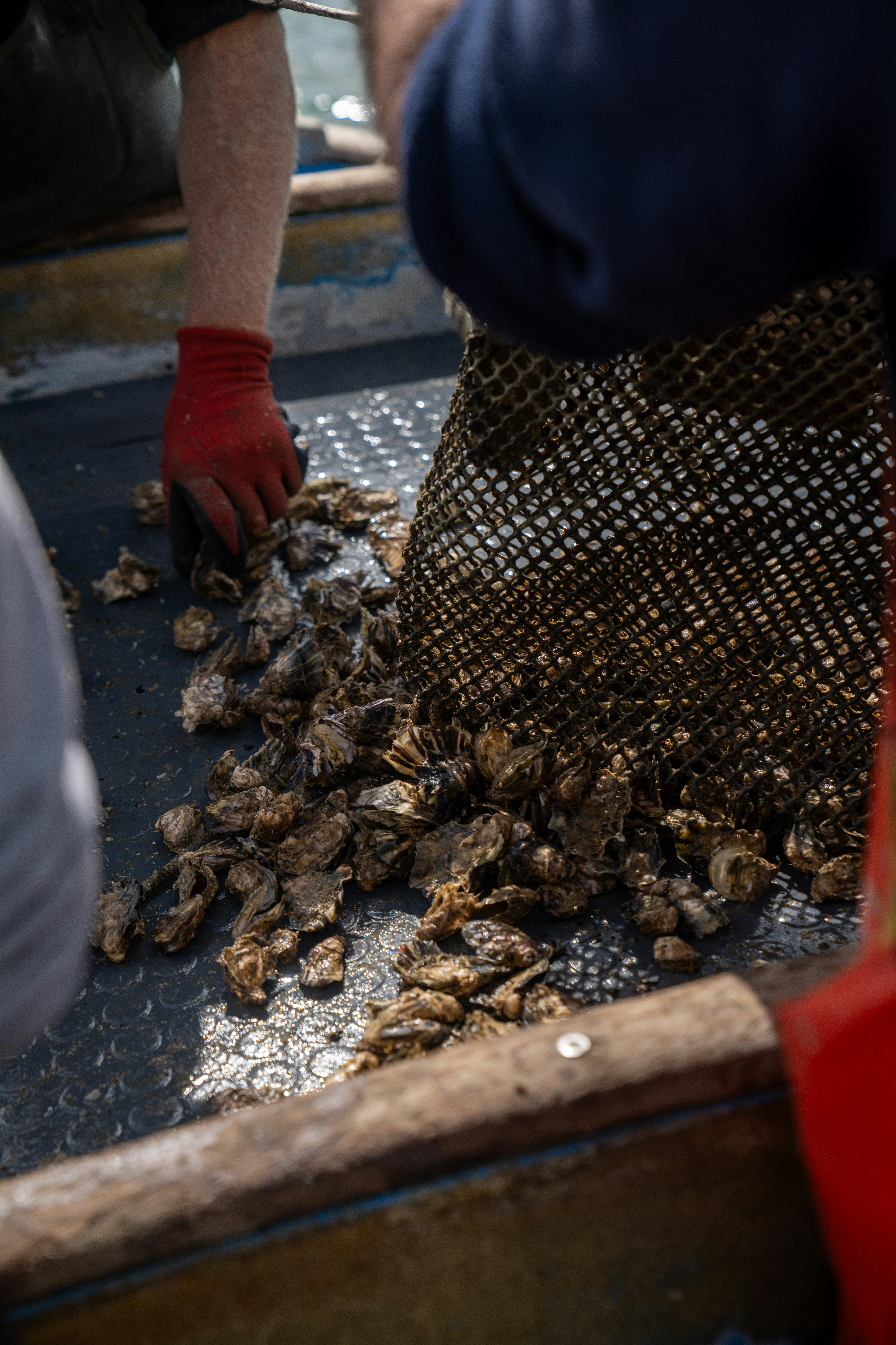 Photo by mitiliemitili