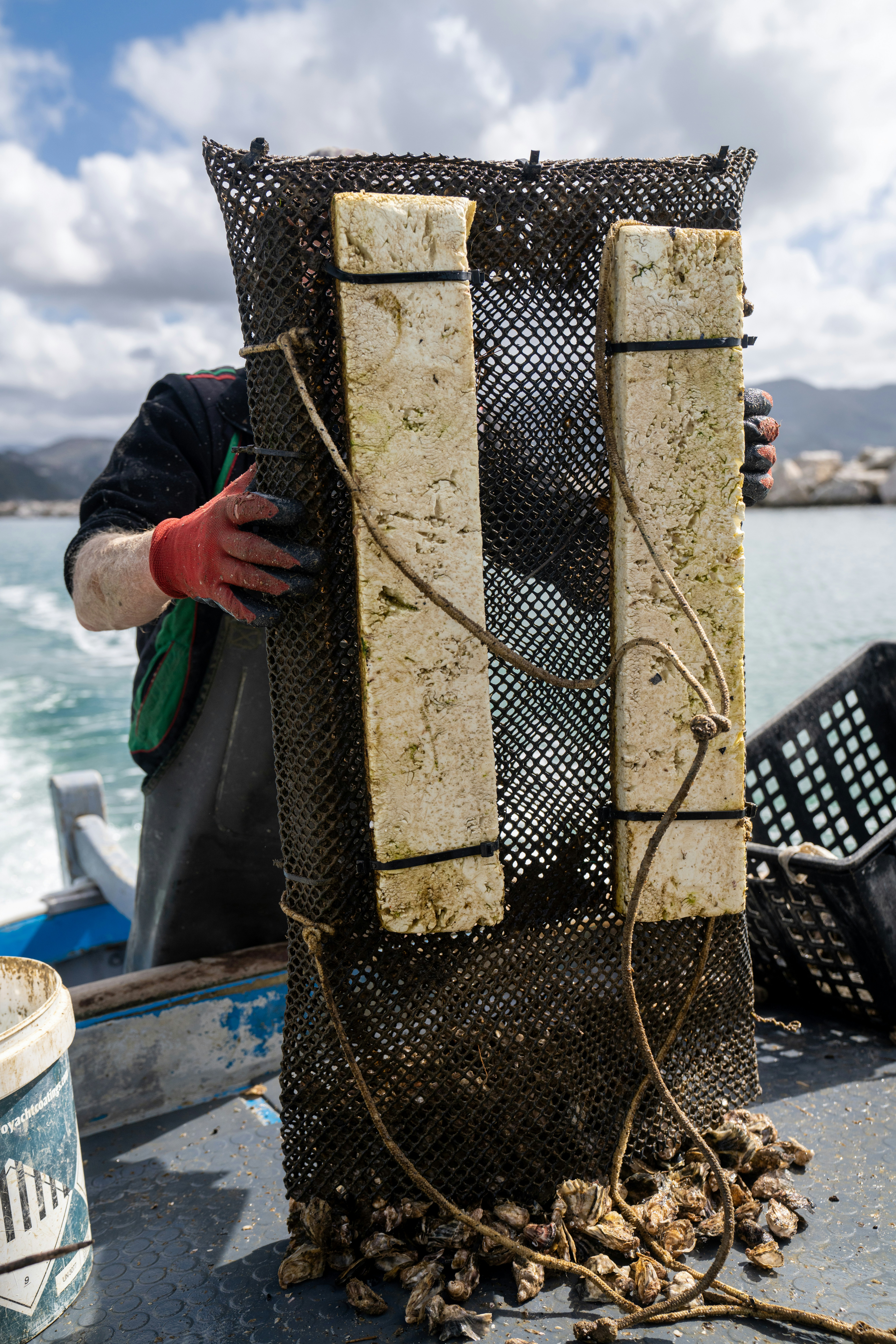 Photo by mitiliemitili