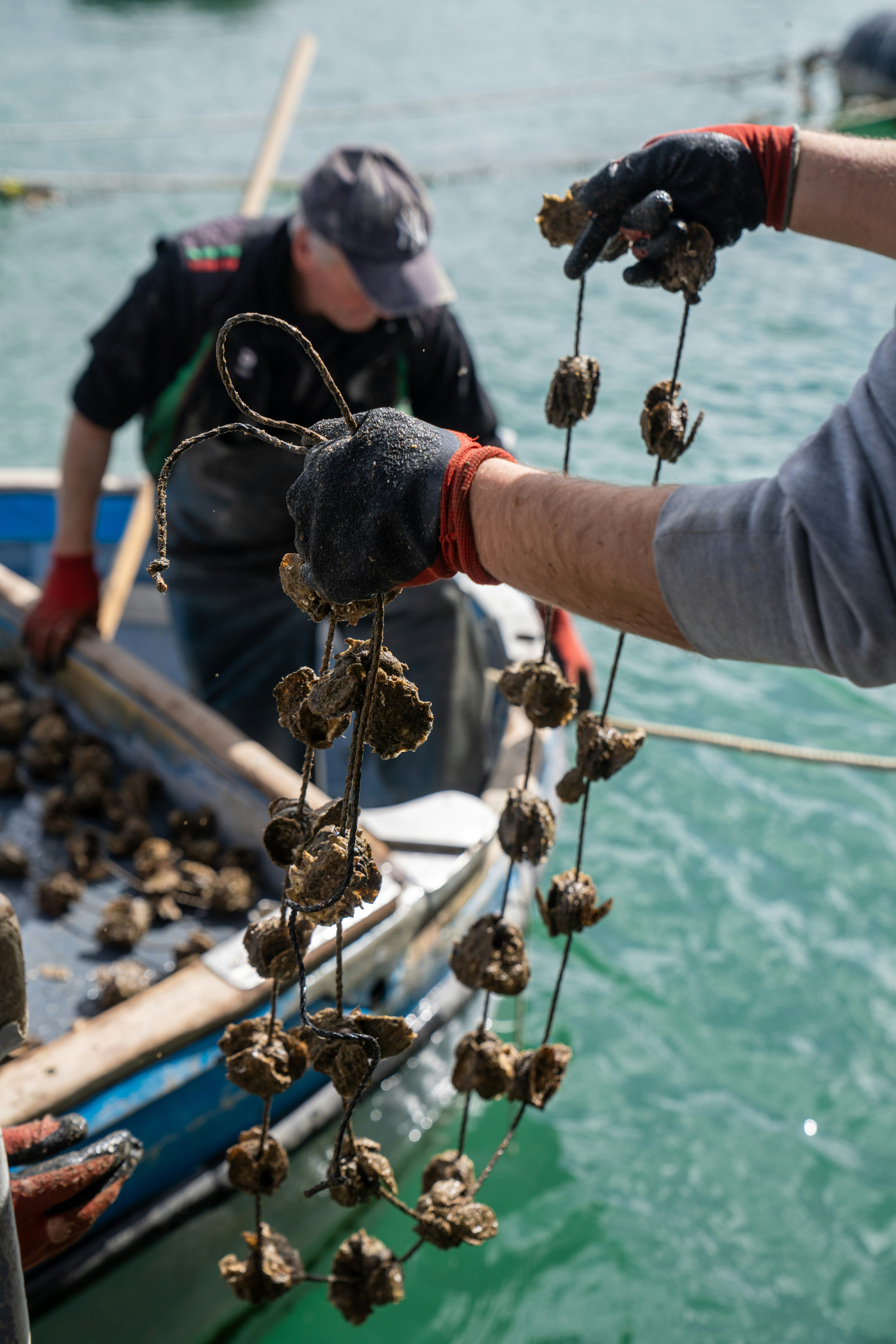 Photo by mitiliemitili