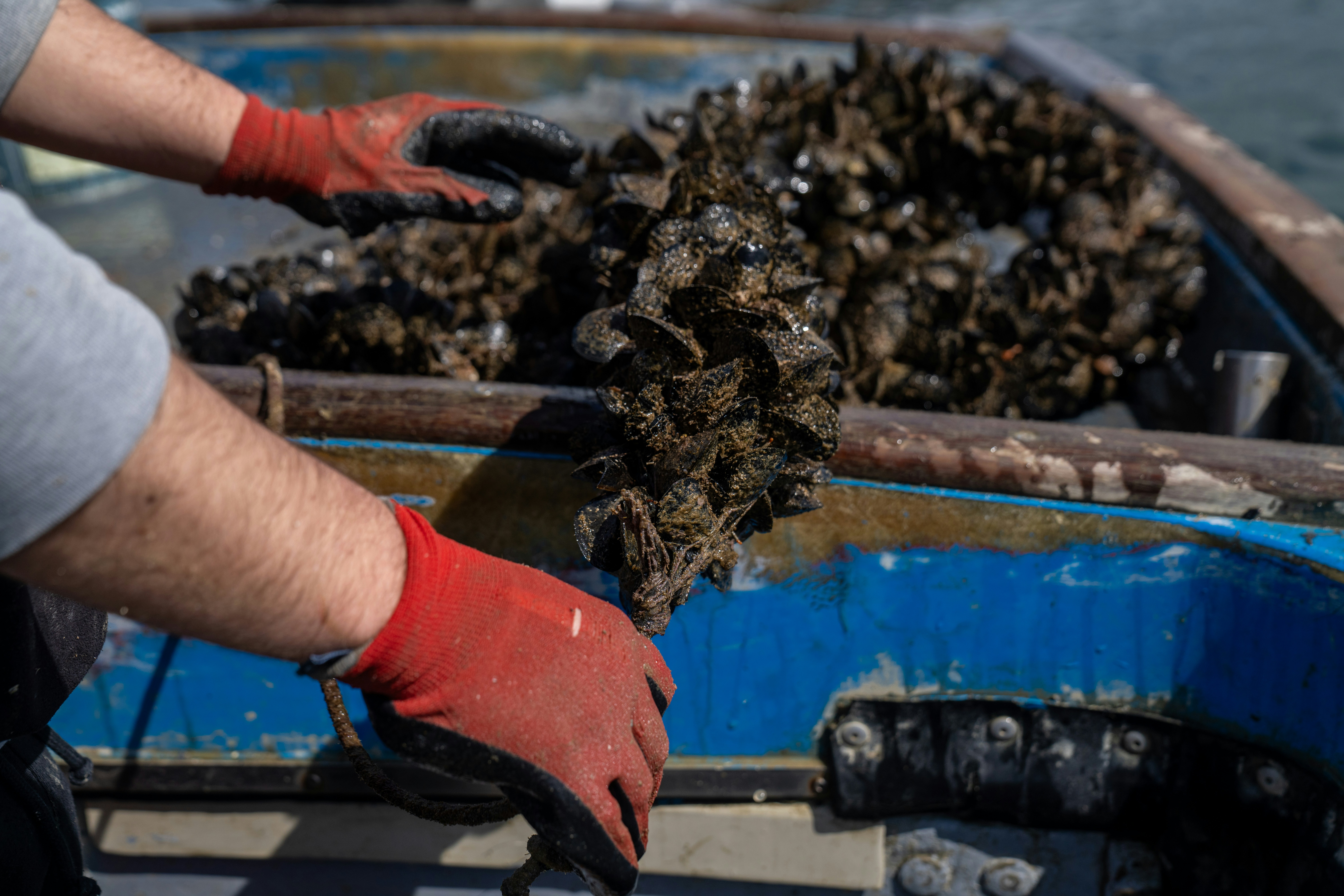 Photo by mitiliemitili