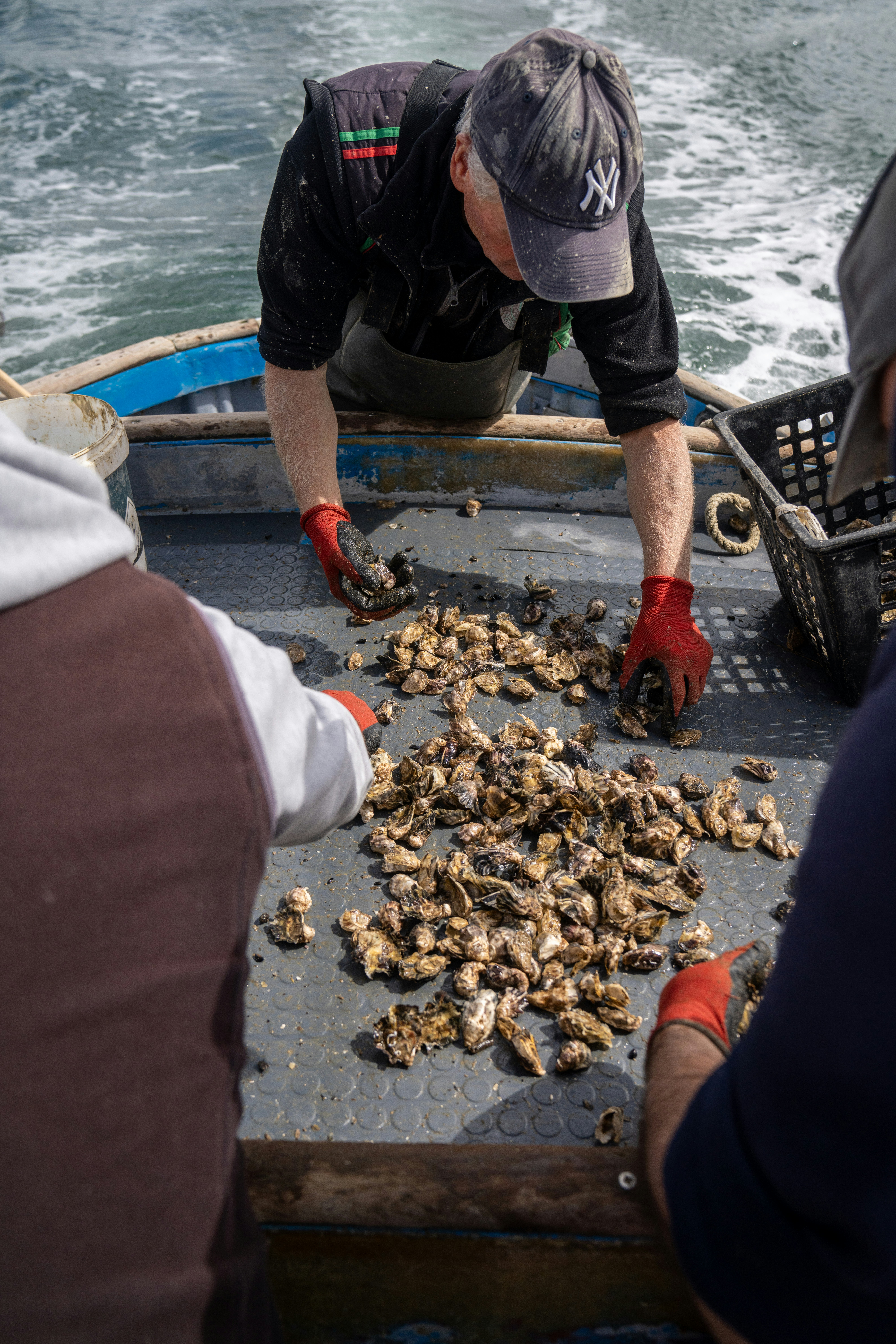 Photo by mitiliemitili