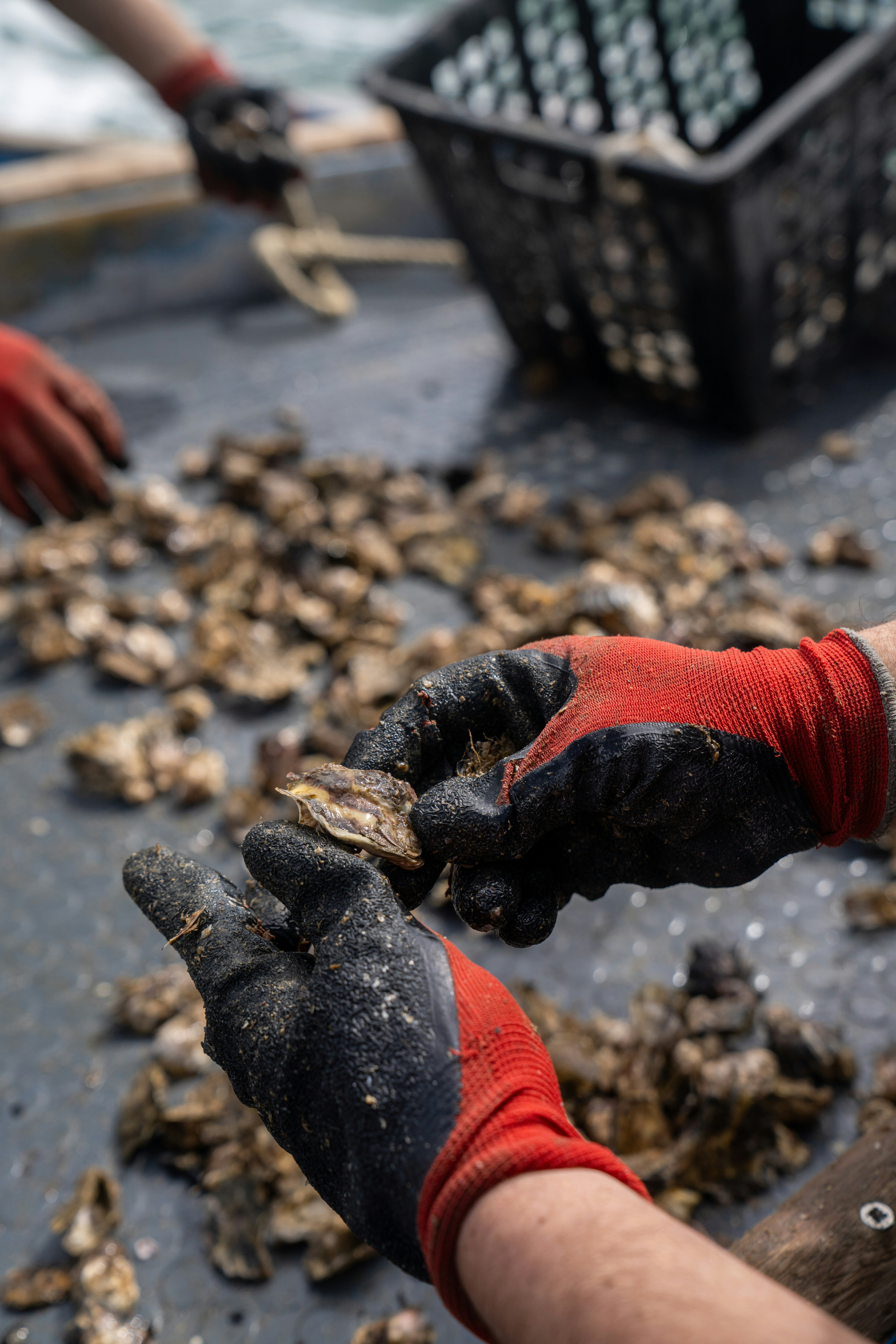 Photo by mitiliemitili