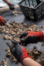 A person holding a piece of wood in their hands