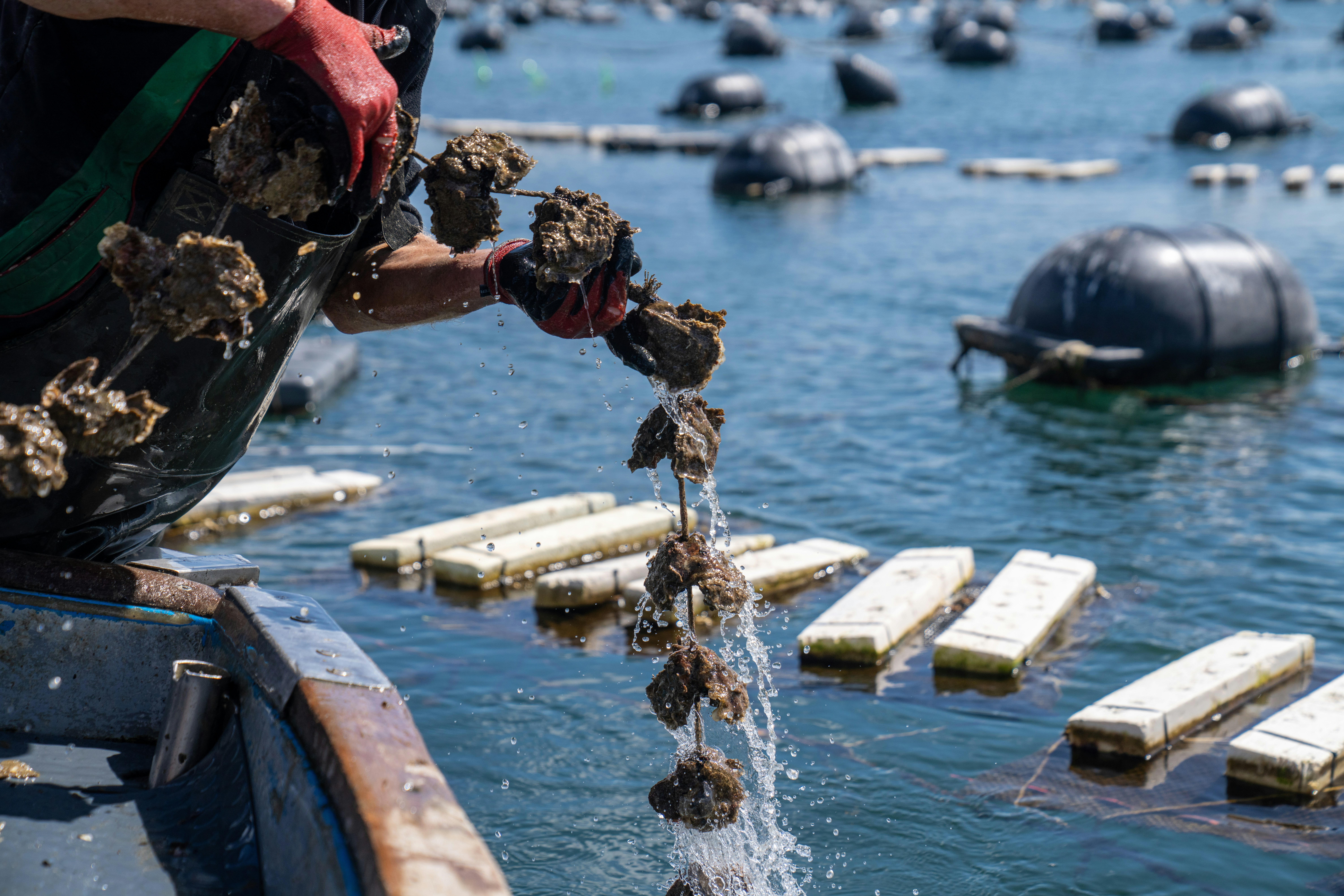 Photo by mitiliemitili