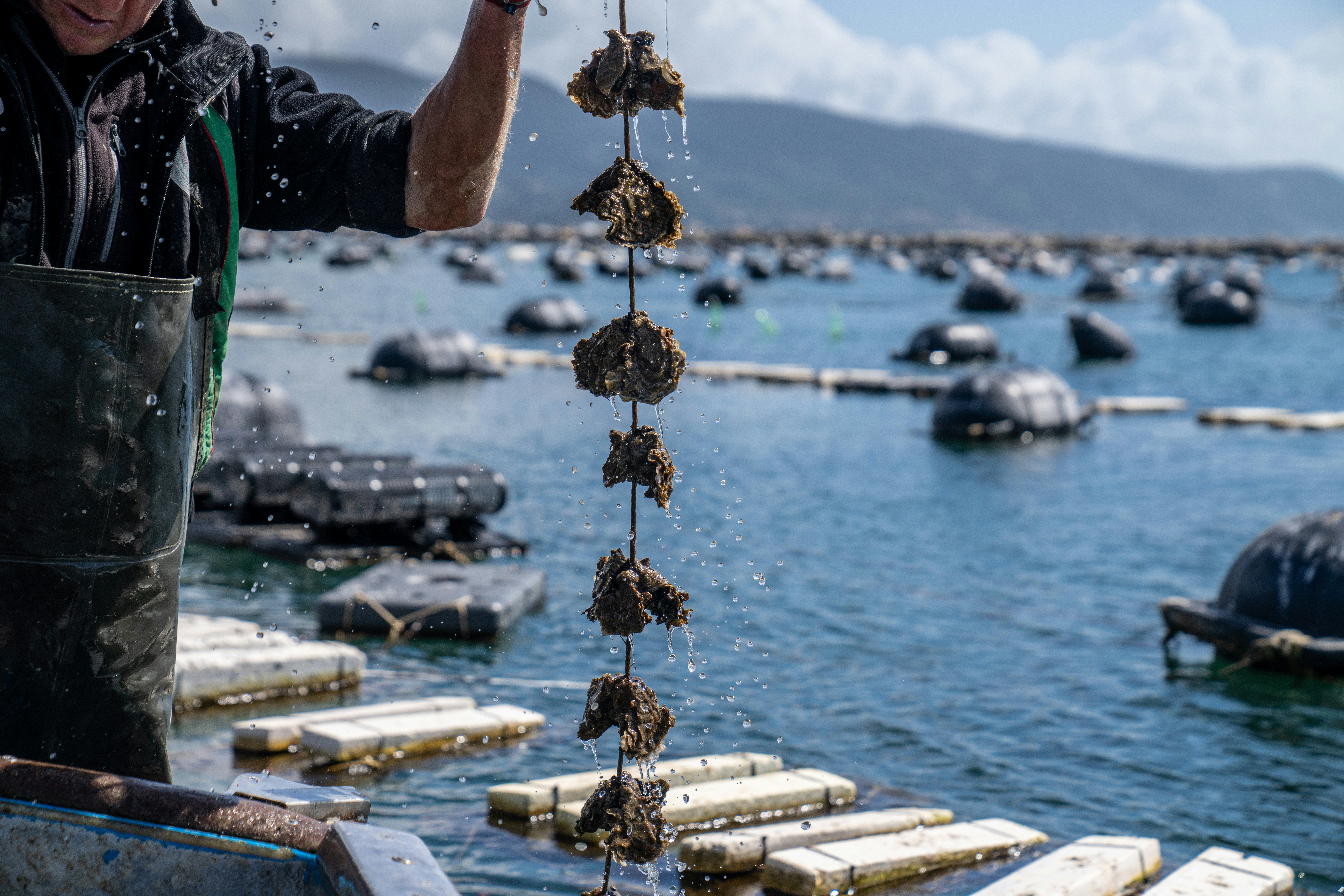 Photo by mitiliemitili