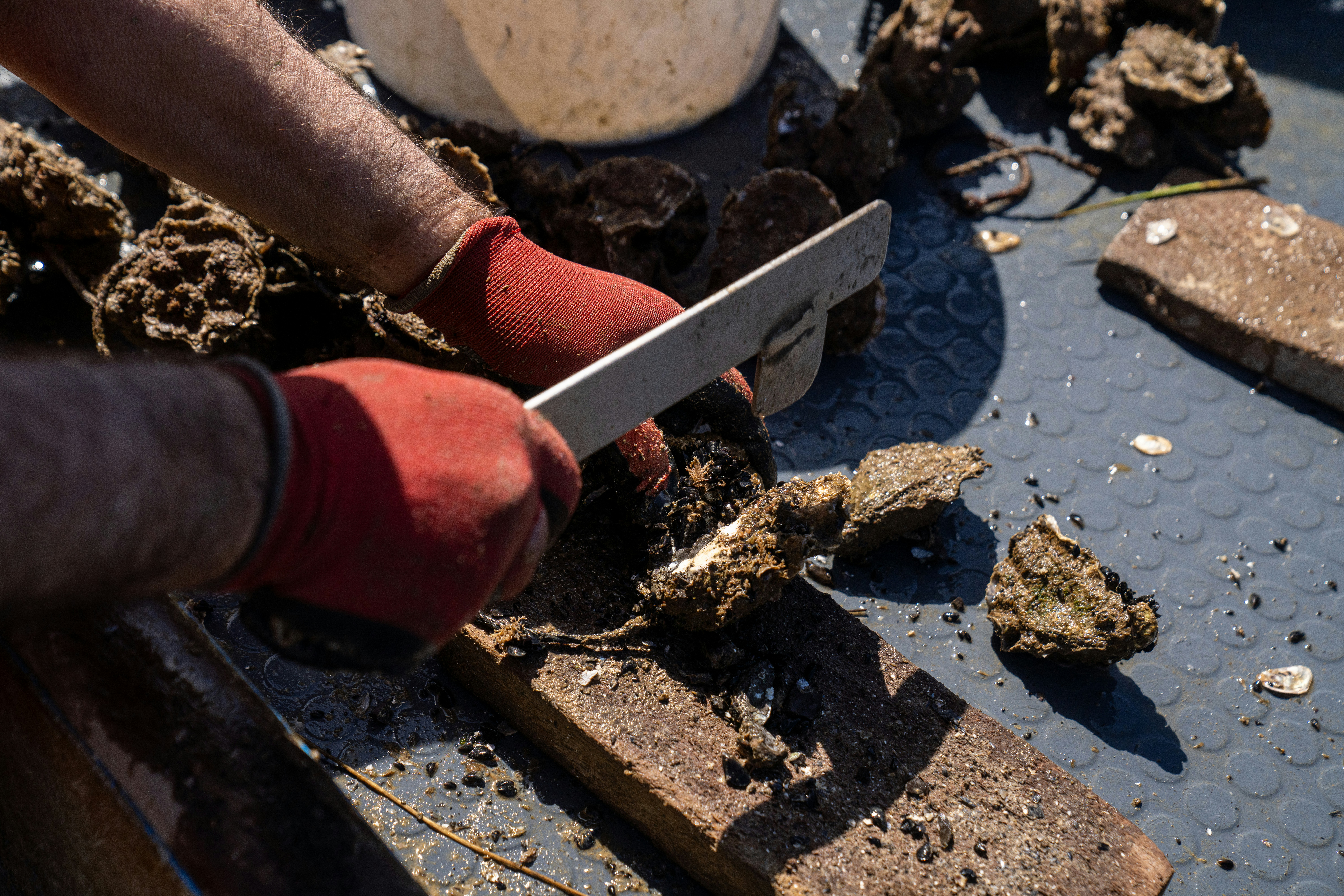 Photo by mitiliemitili