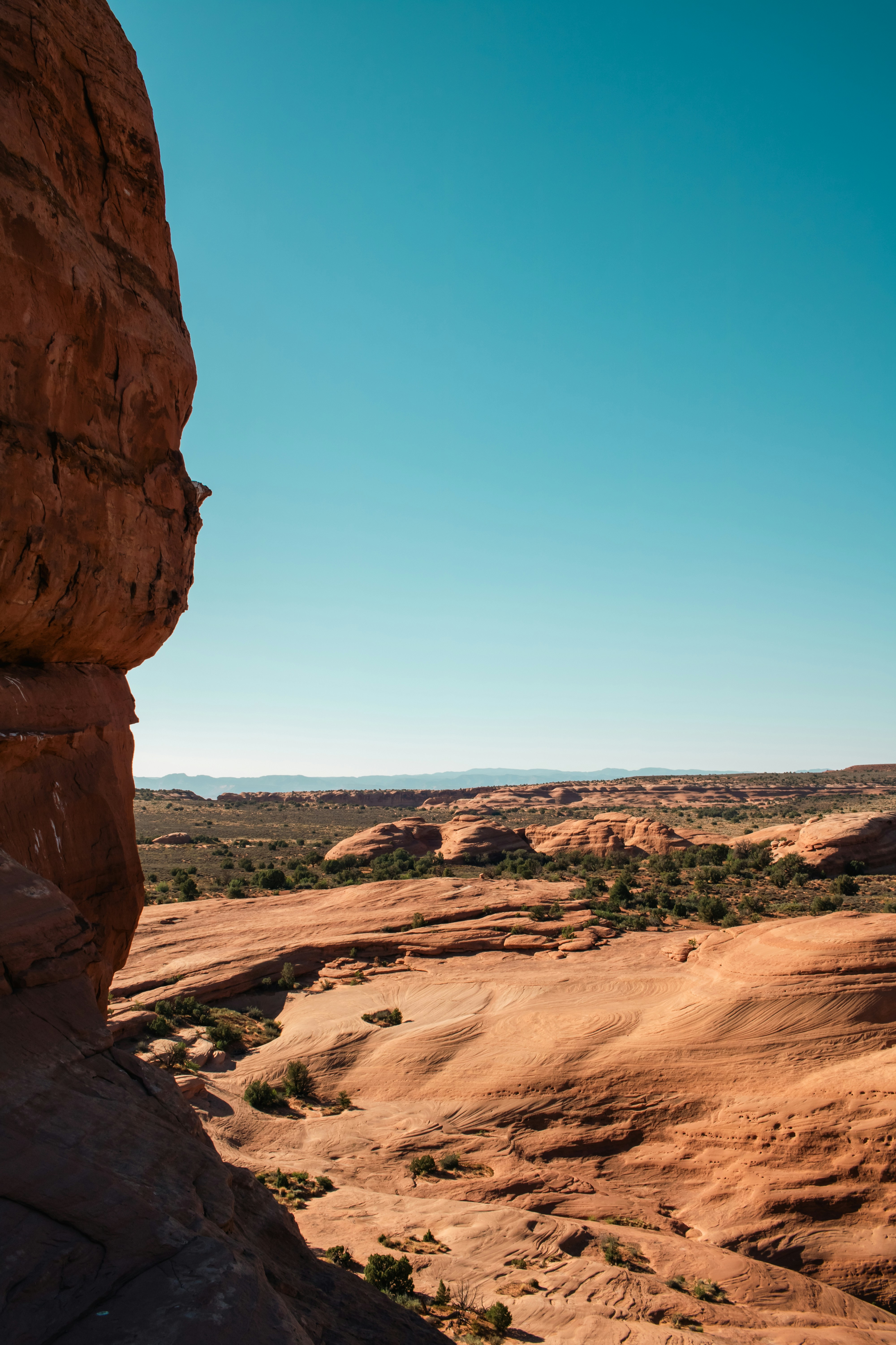 Photo by zoshuacolah