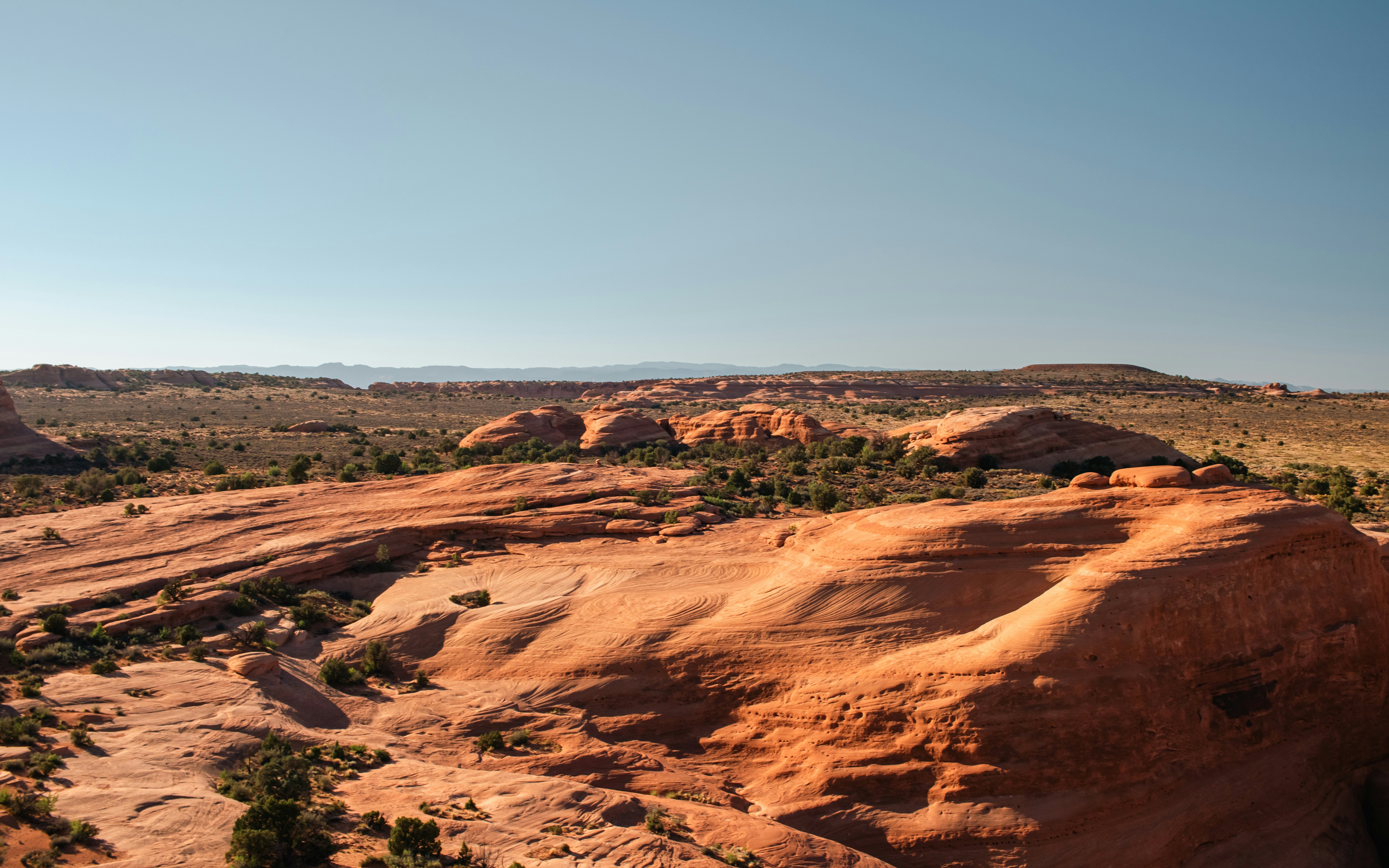 Photo by zoshuacolah