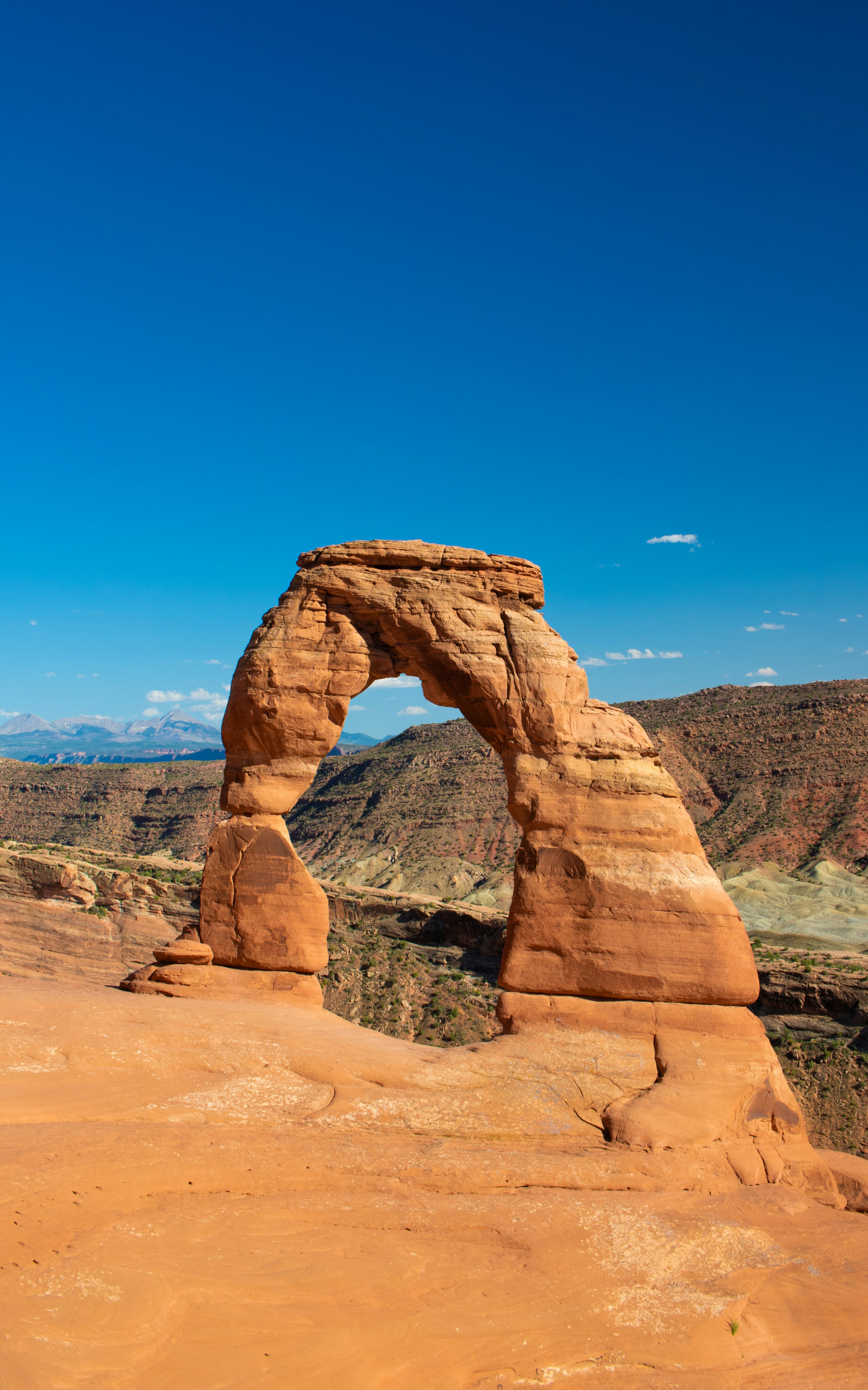 Photo by zoshuacolah