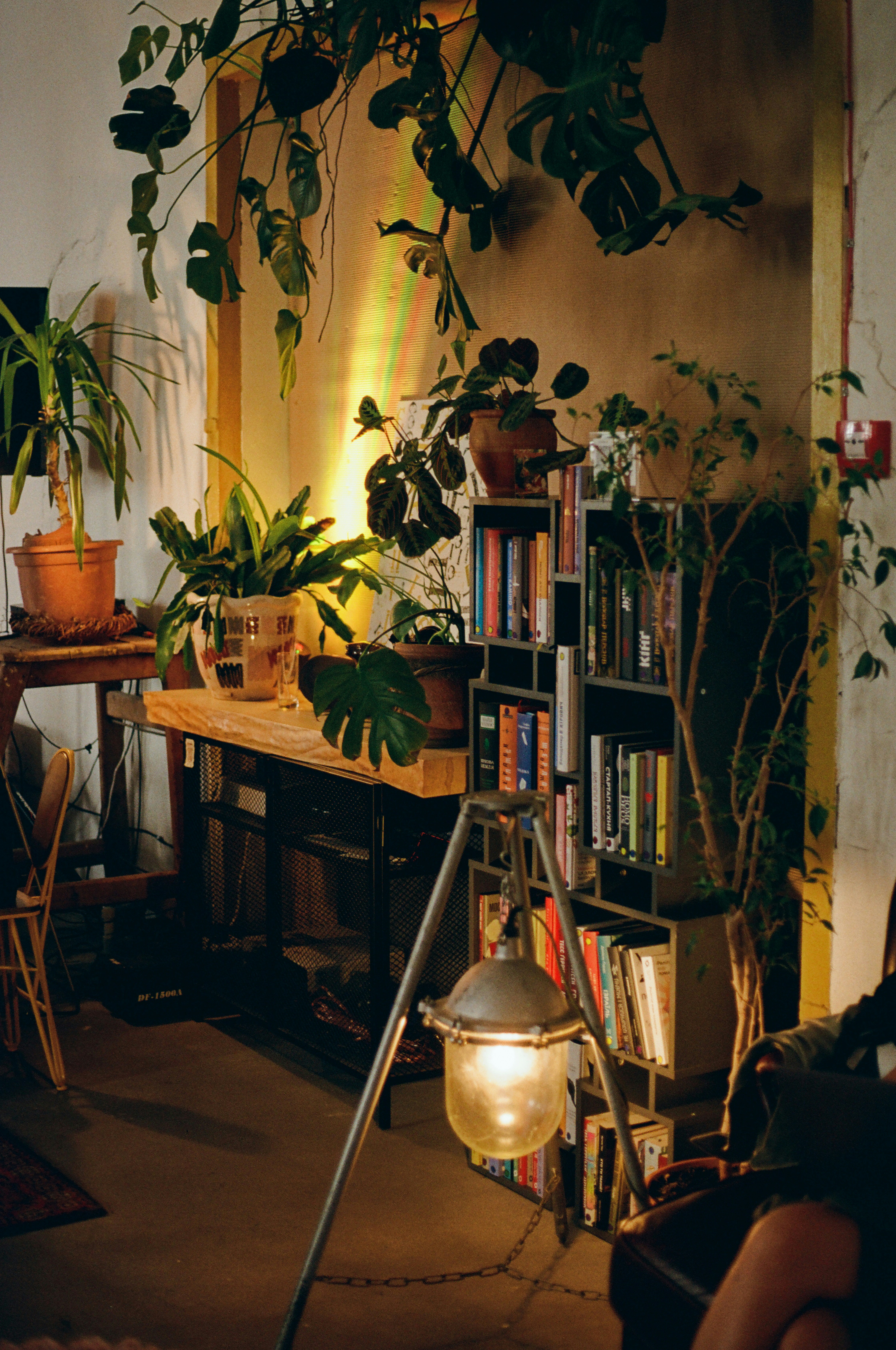 Photo by mineral_of_demon