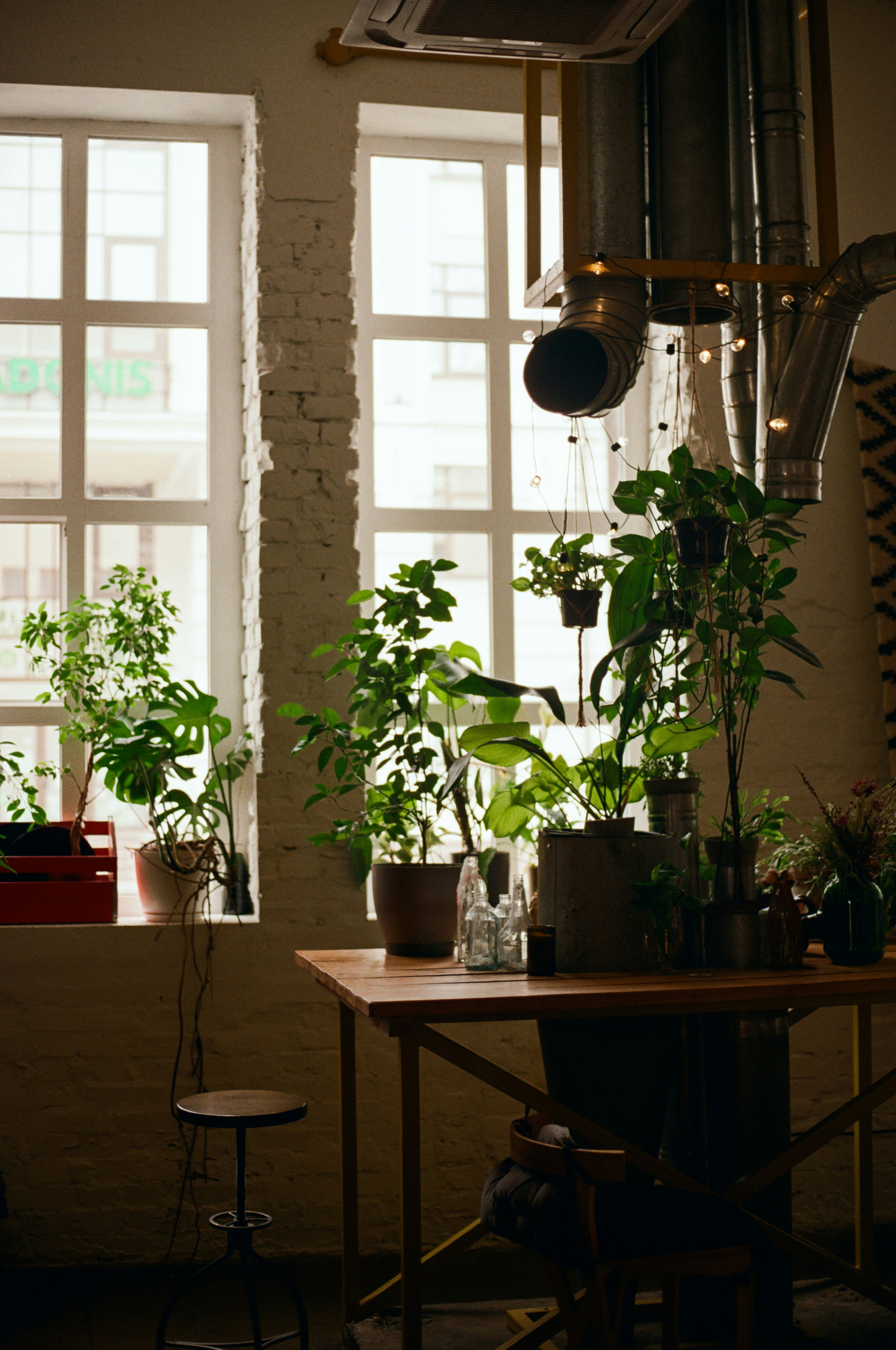 Photo by mineral_of_demon