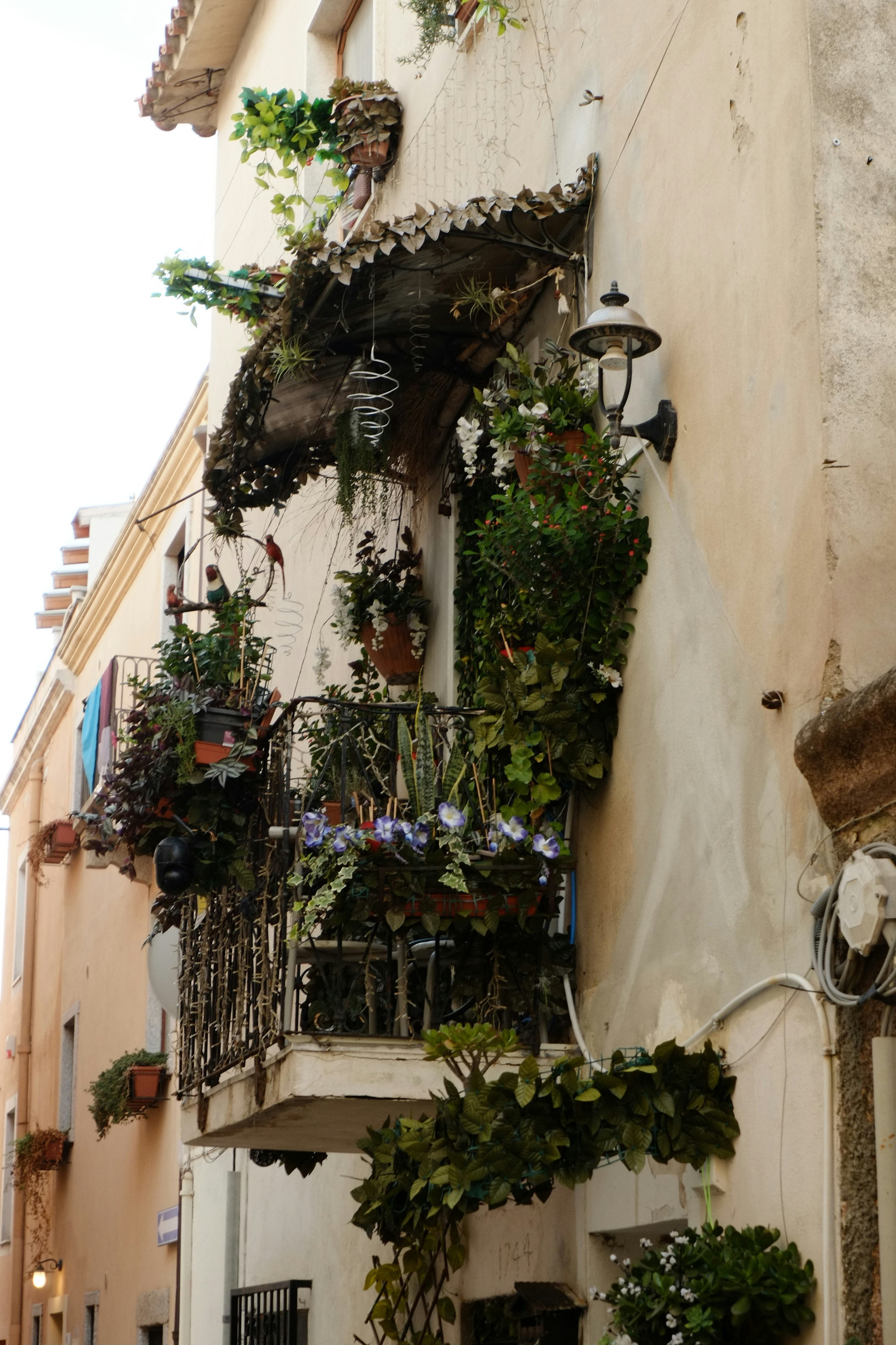 Photo by bernhardbar