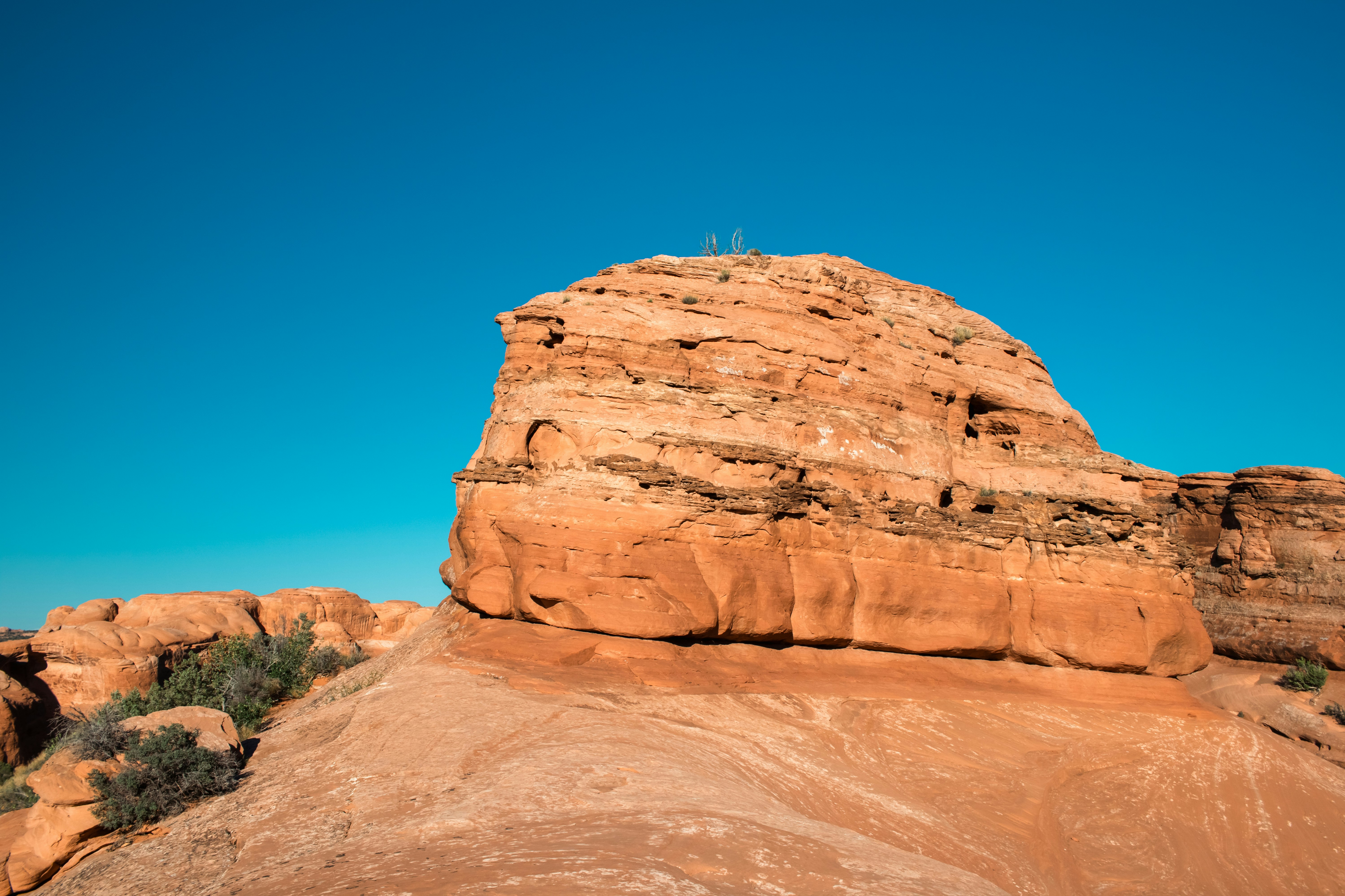 Photo by zoshuacolah