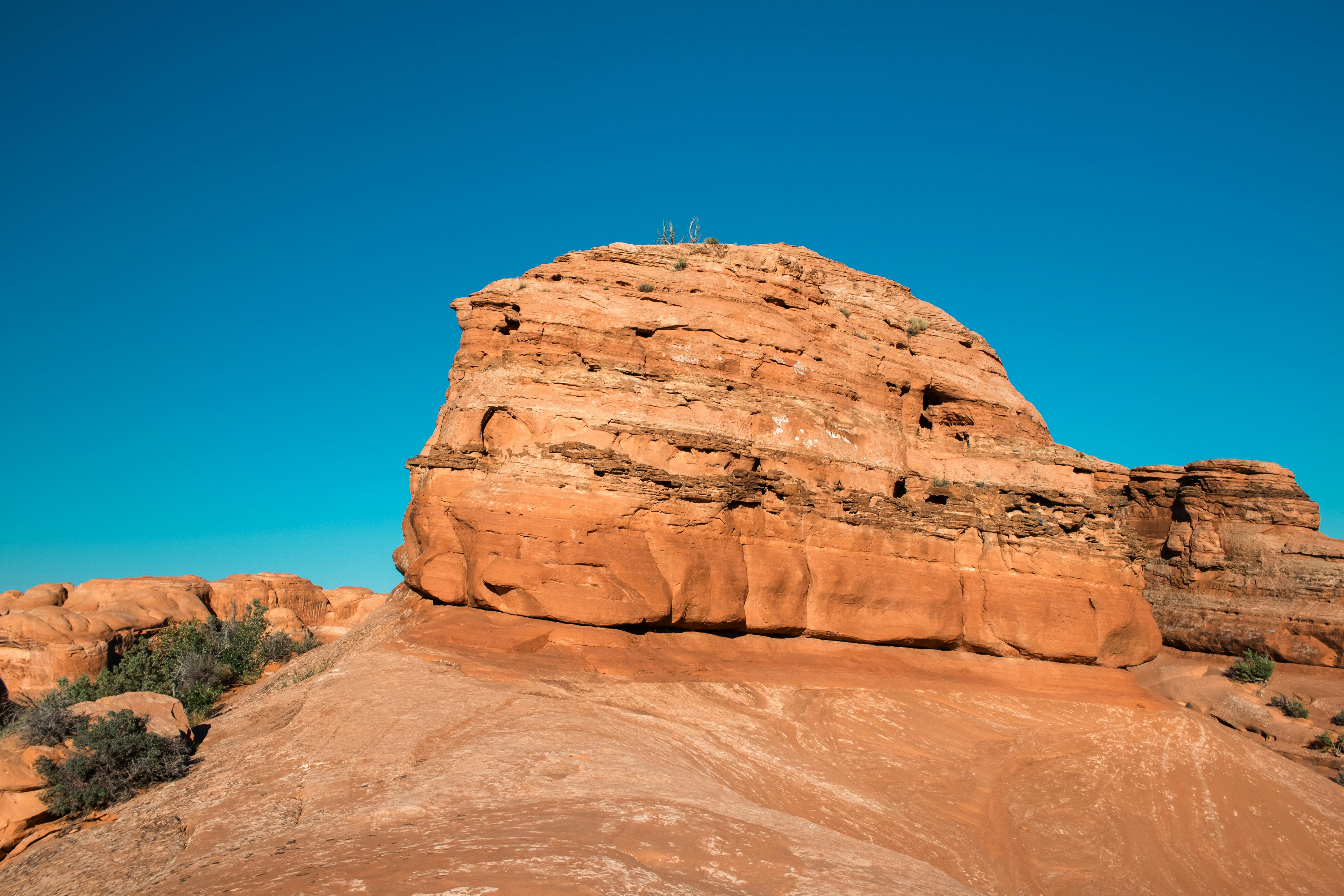 Photo by zoshuacolah