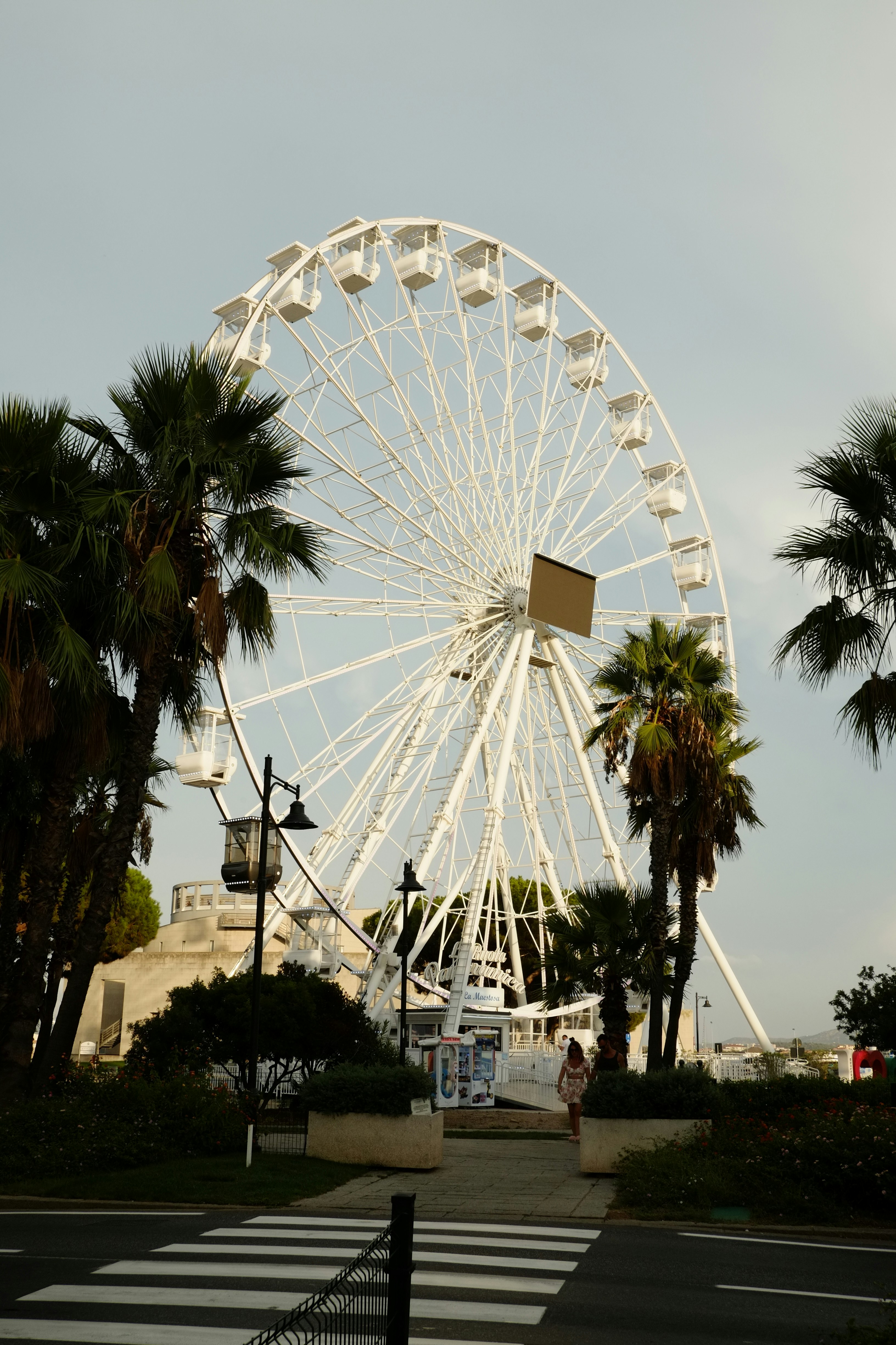 Ein großes Riesenrad neben Palmen