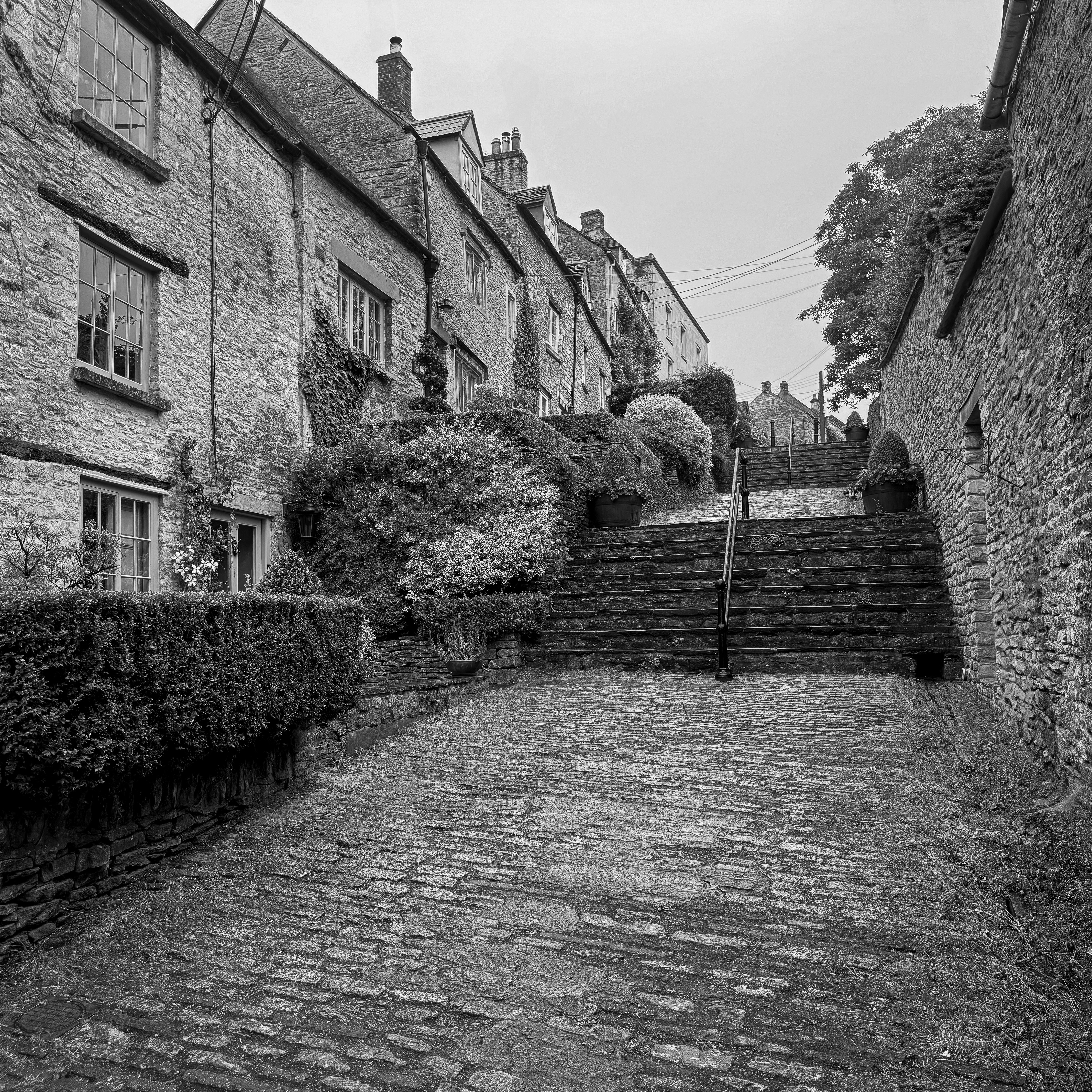 Photo by humansmadethis