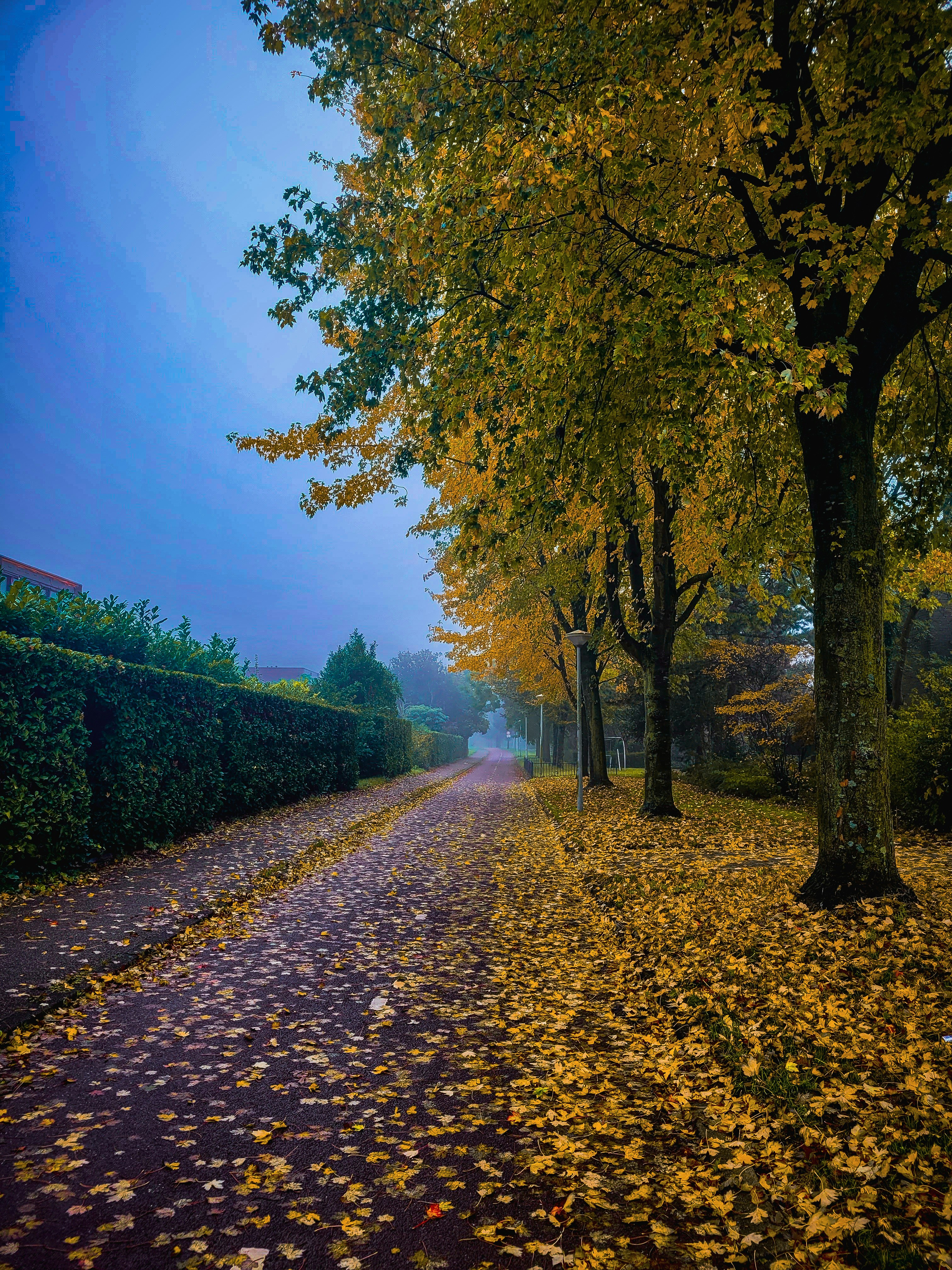 Photo by pariakarimi