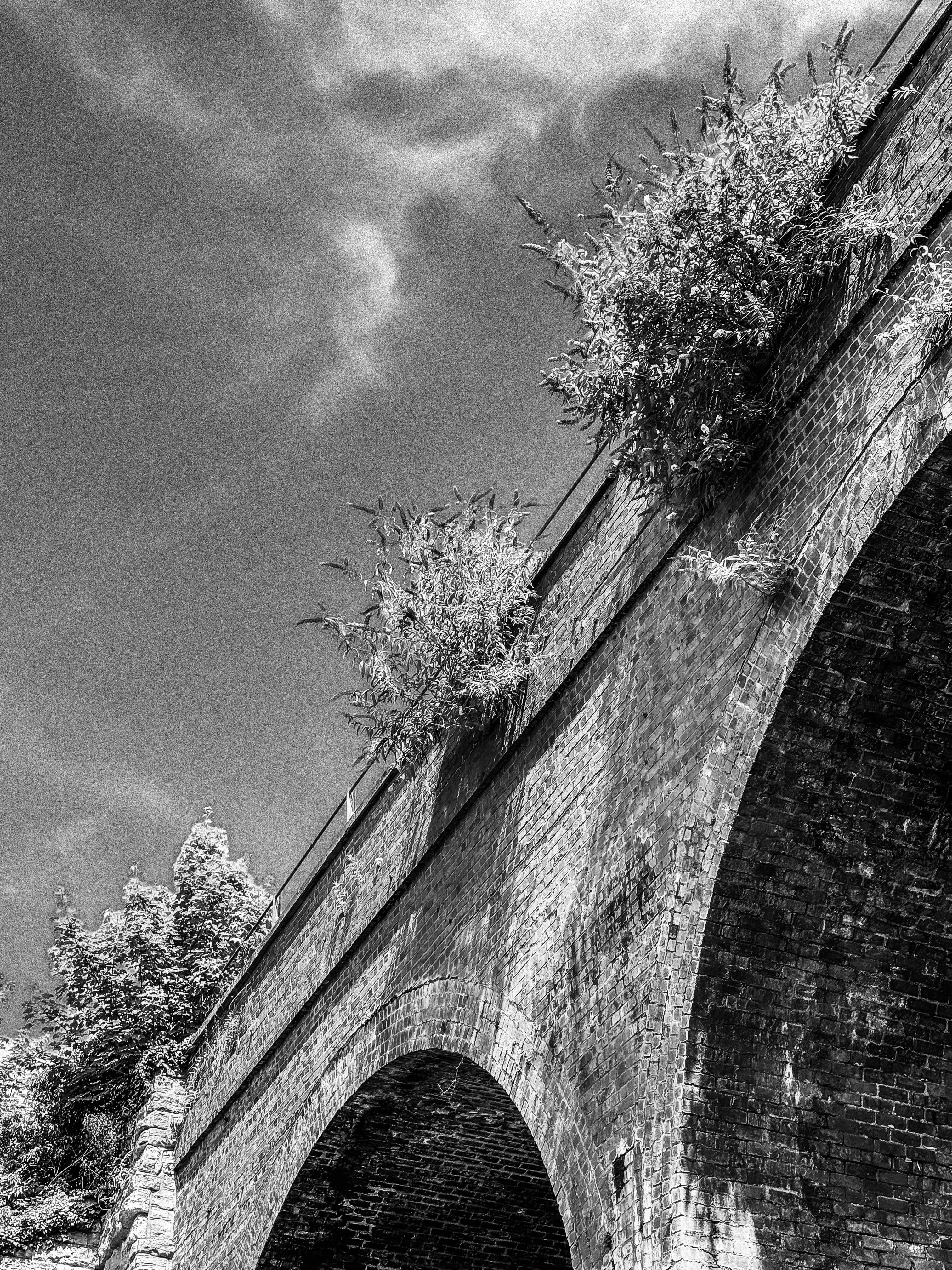 Photo by humansmadethis