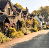 A street lined with houses in a rural area
