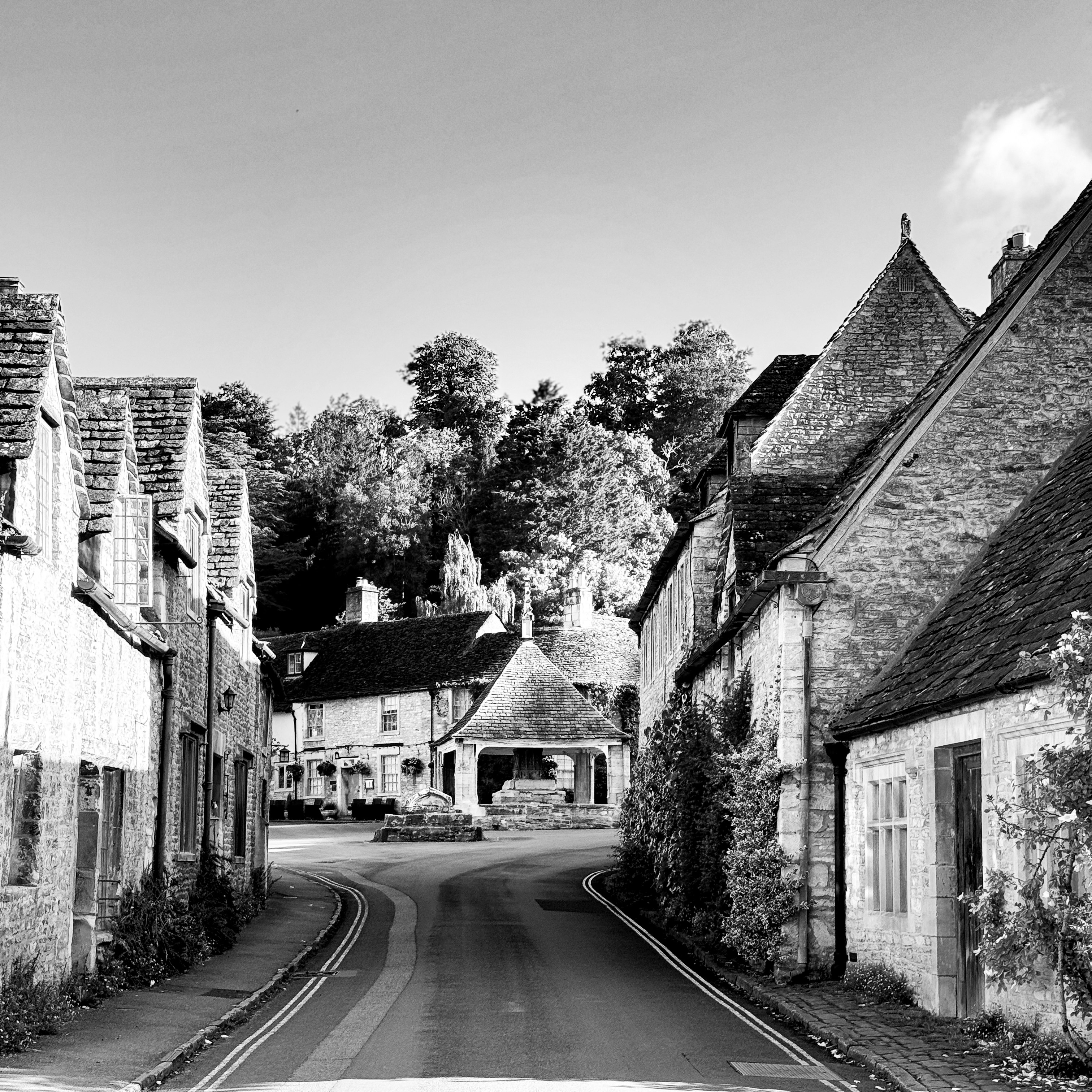 Photo by humansmadethis