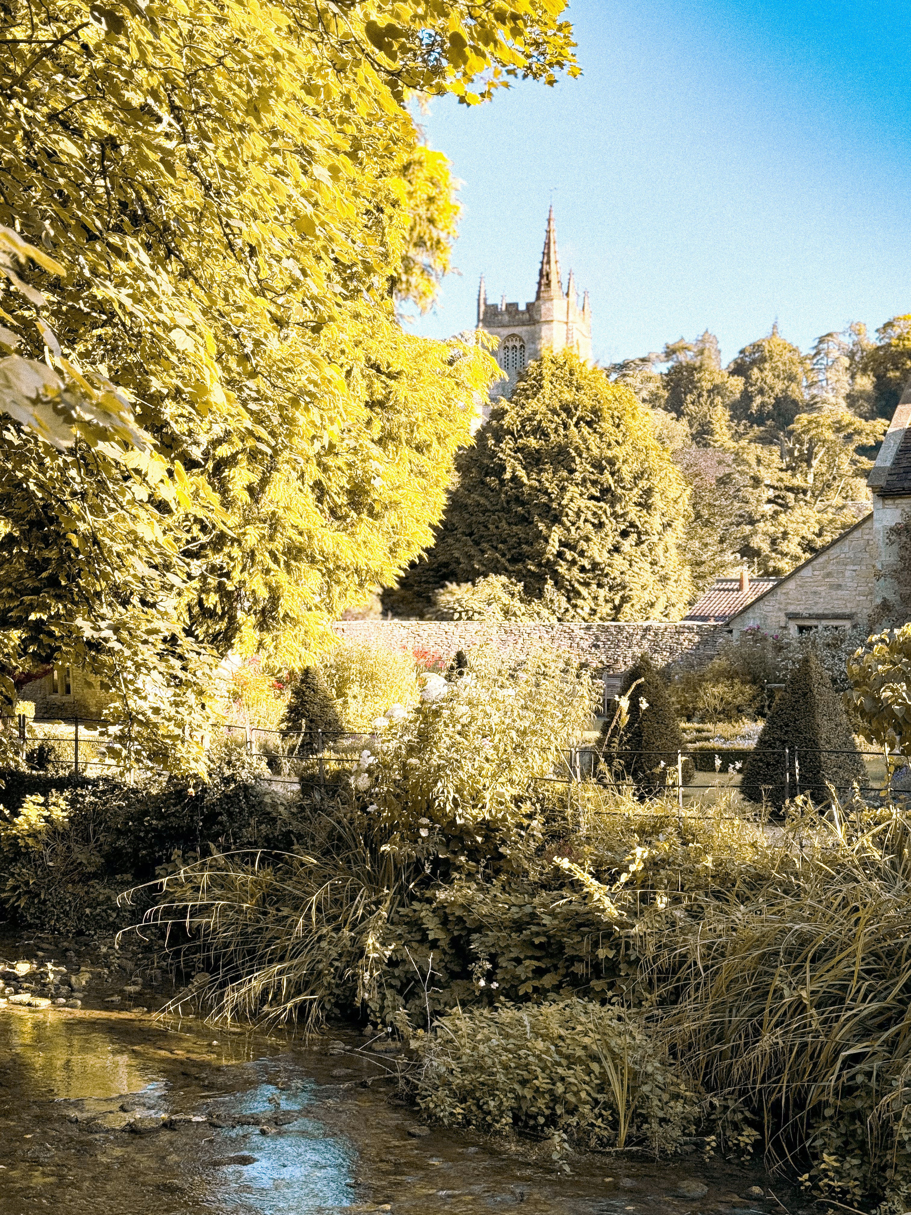 A river running through a lush green forest