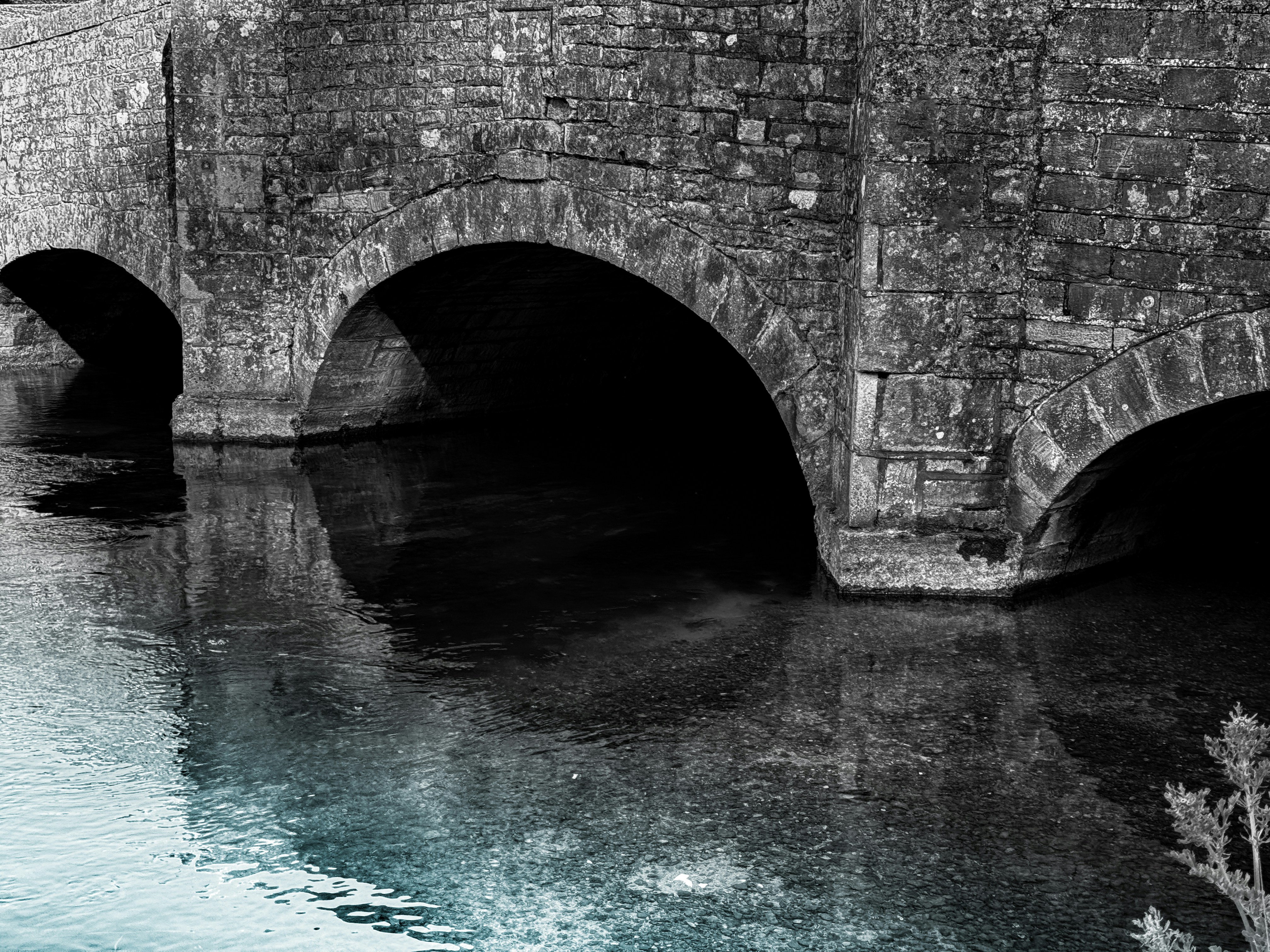 Photo by humansmadethis