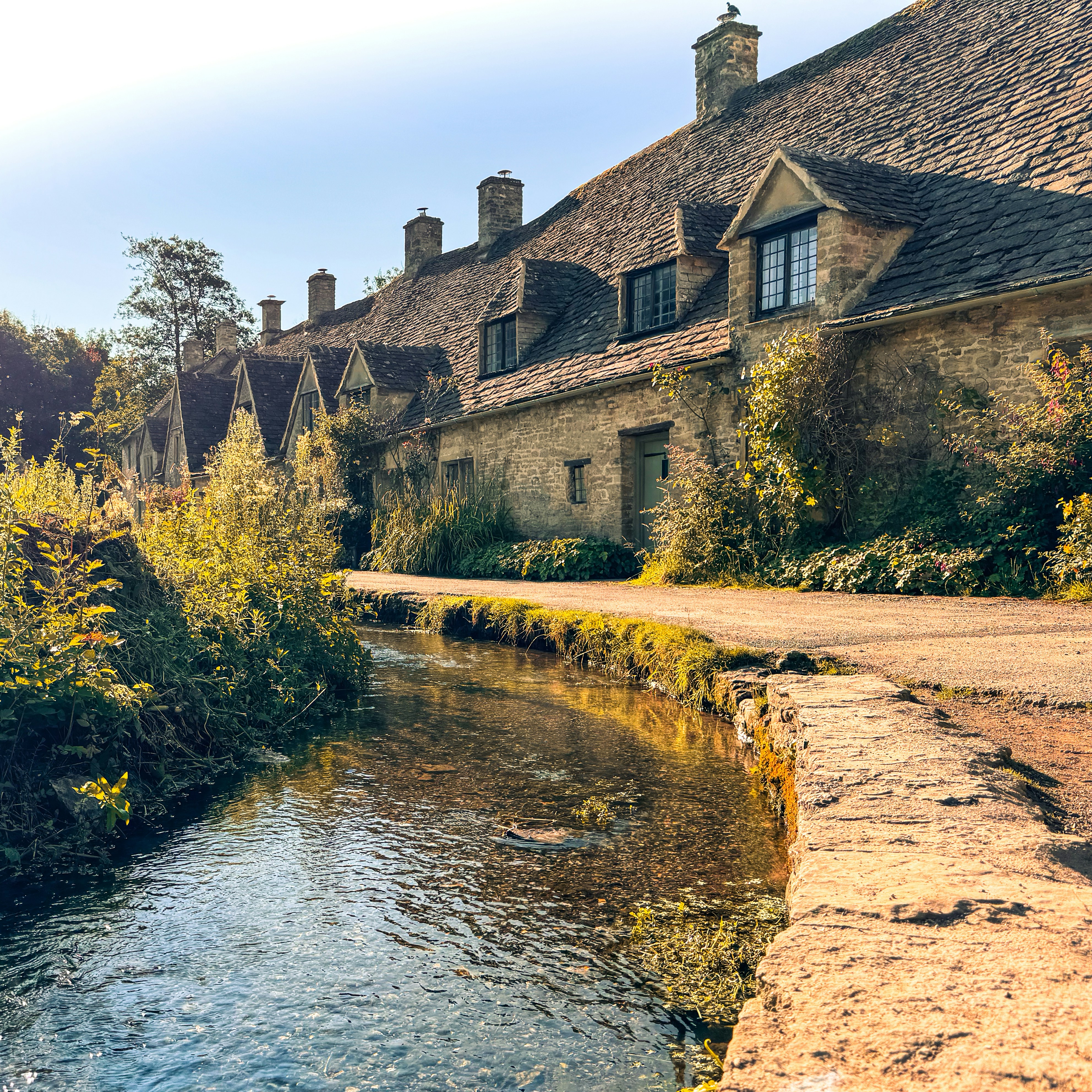 Photo by humansmadethis