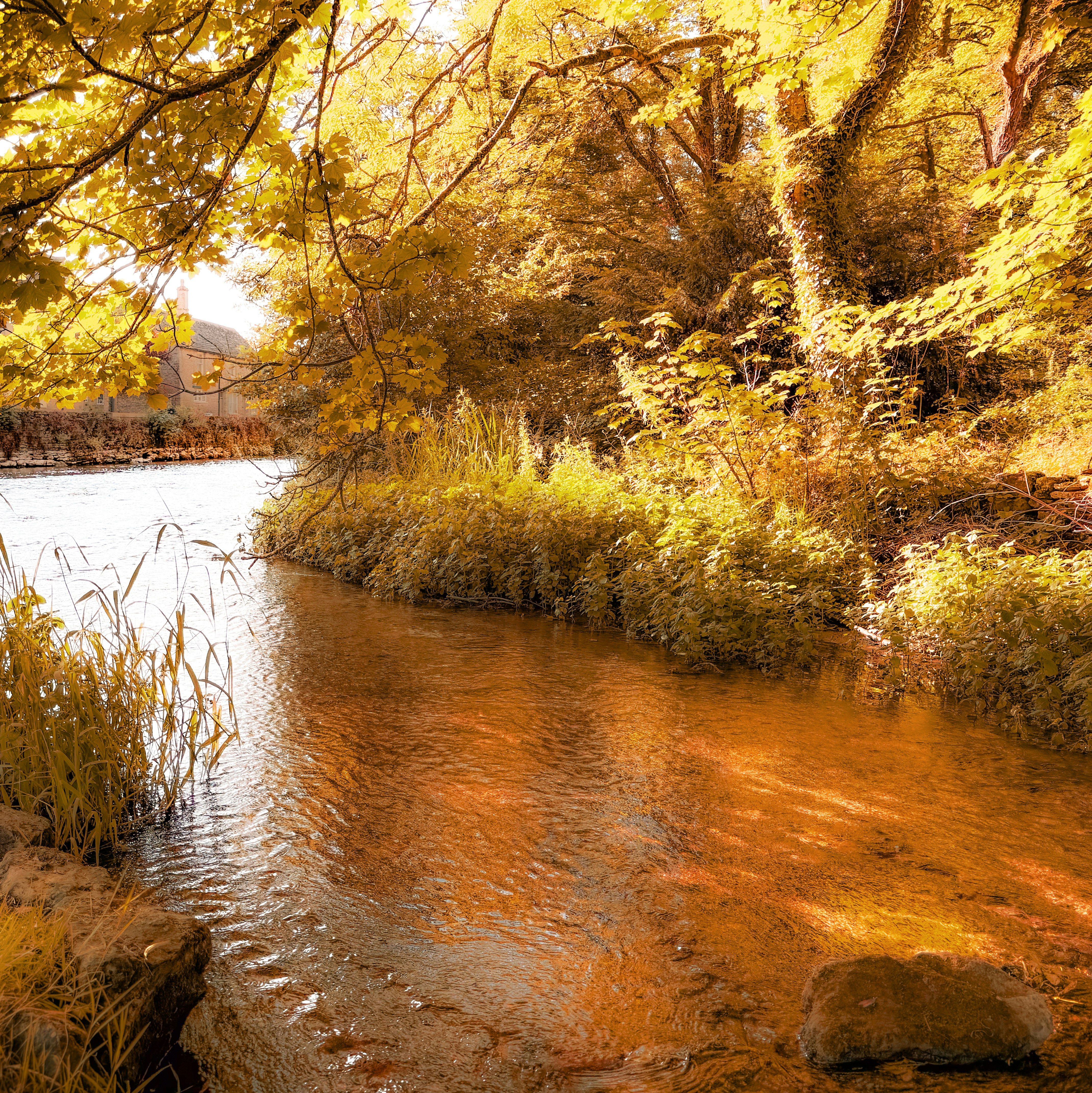 Photo by humansmadethis