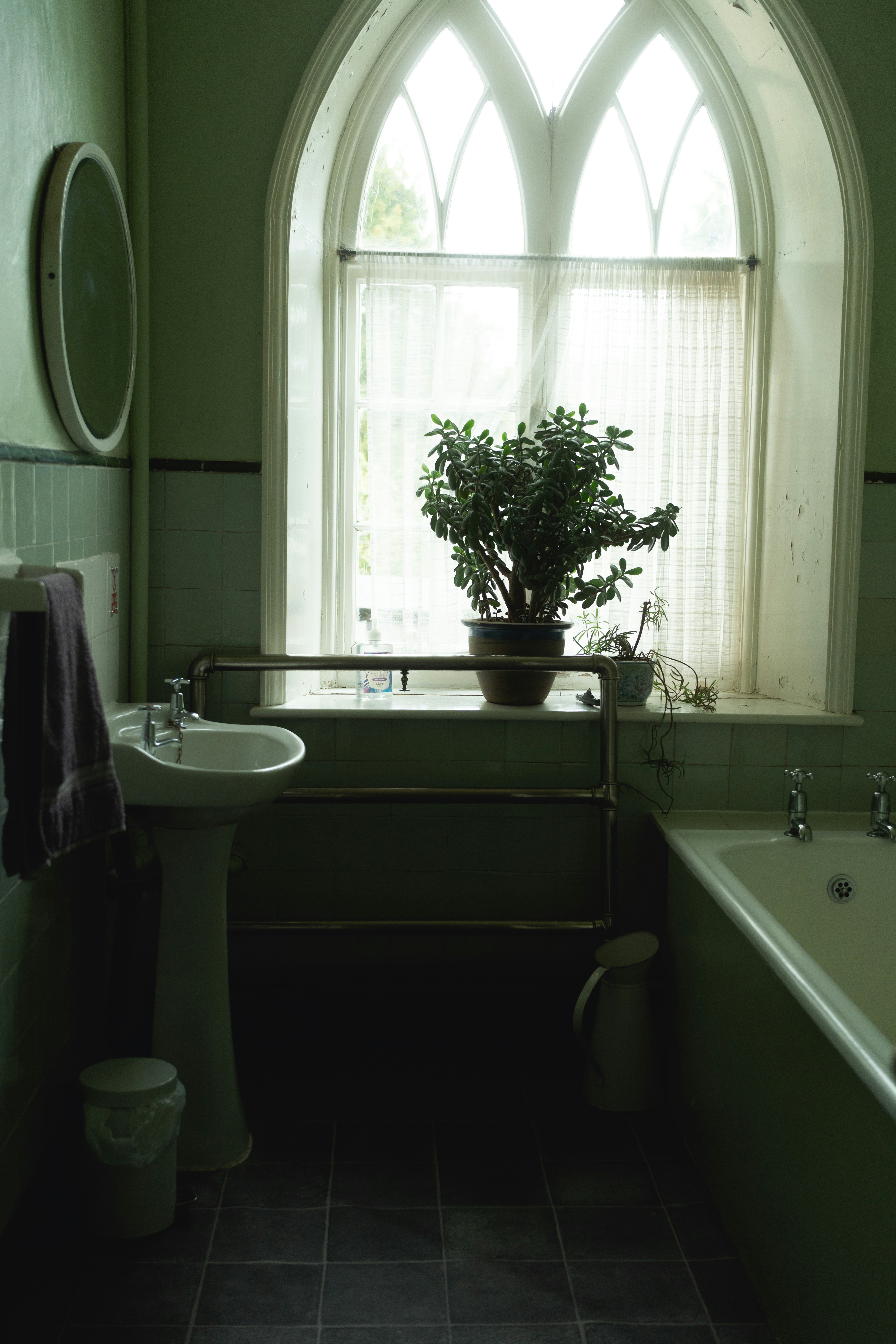 Photo by alexisnthere_