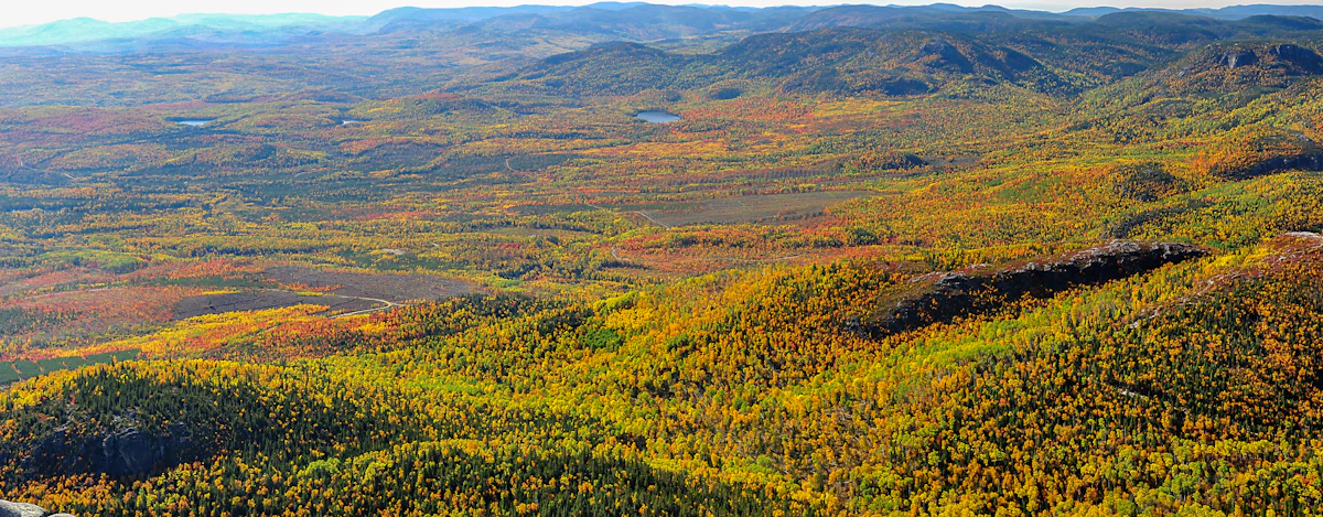 Autumn forest and low mountains seen from the air near Baie-Saint-Paul in Charlevoix