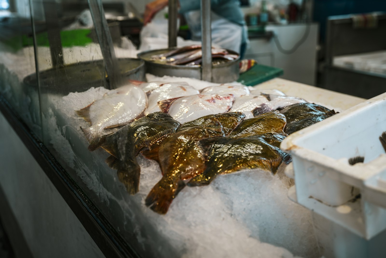 Hel fersk fisk lagt på is i fiskedisk, i motsetning til ferskfrossen fisk som fryses rett etter fangst