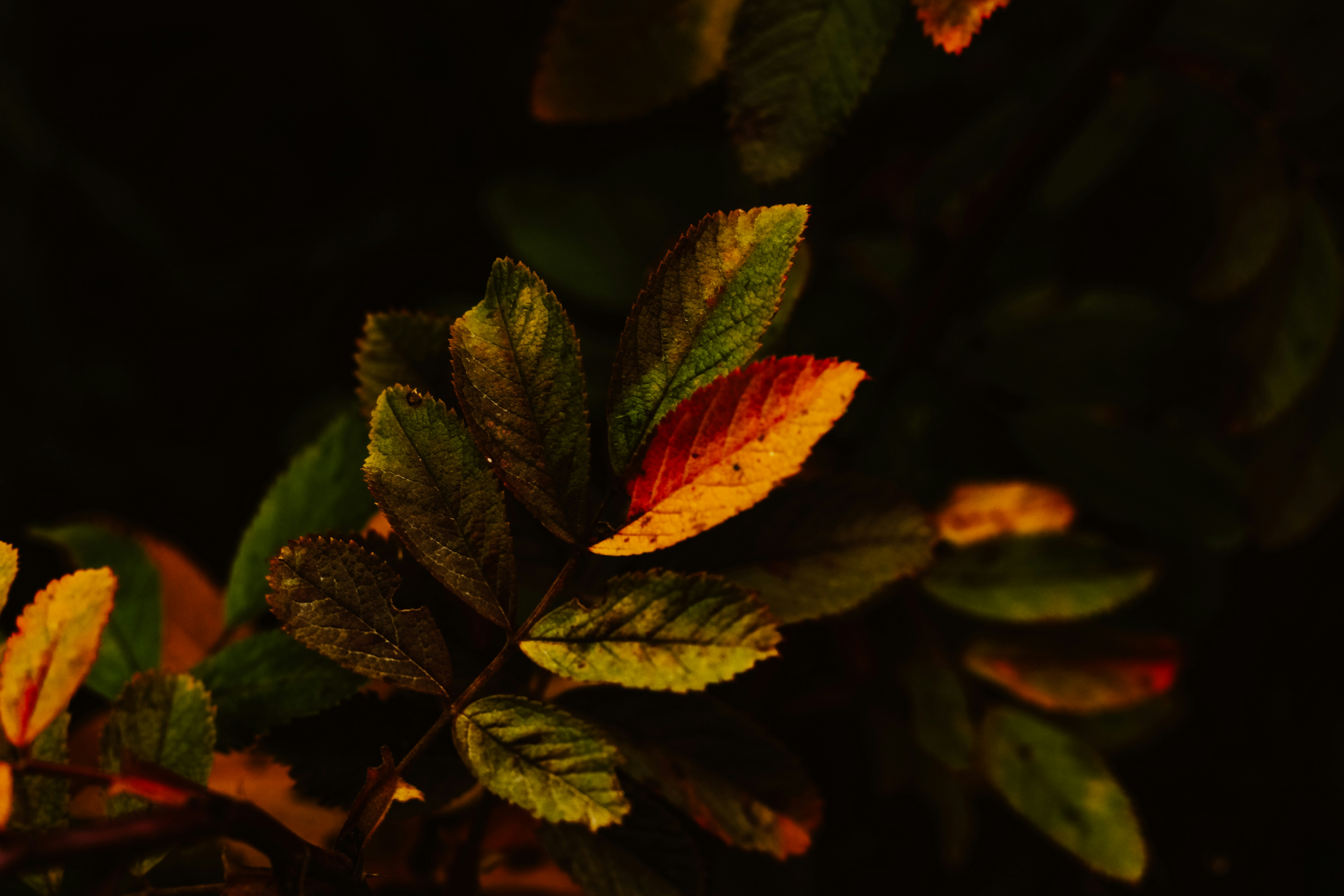 Photo by mineral_of_demon