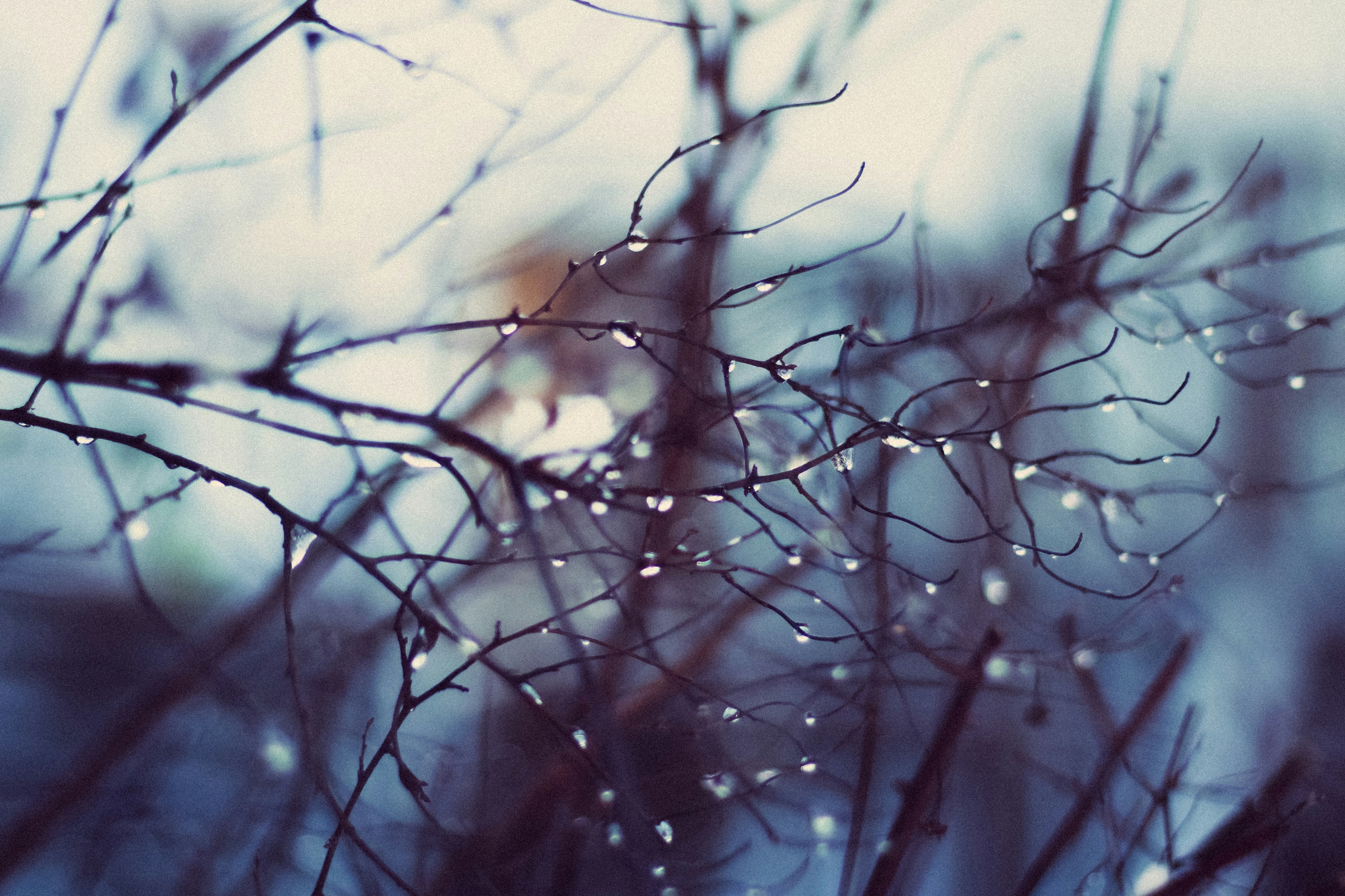 Photo by mineral_of_demon