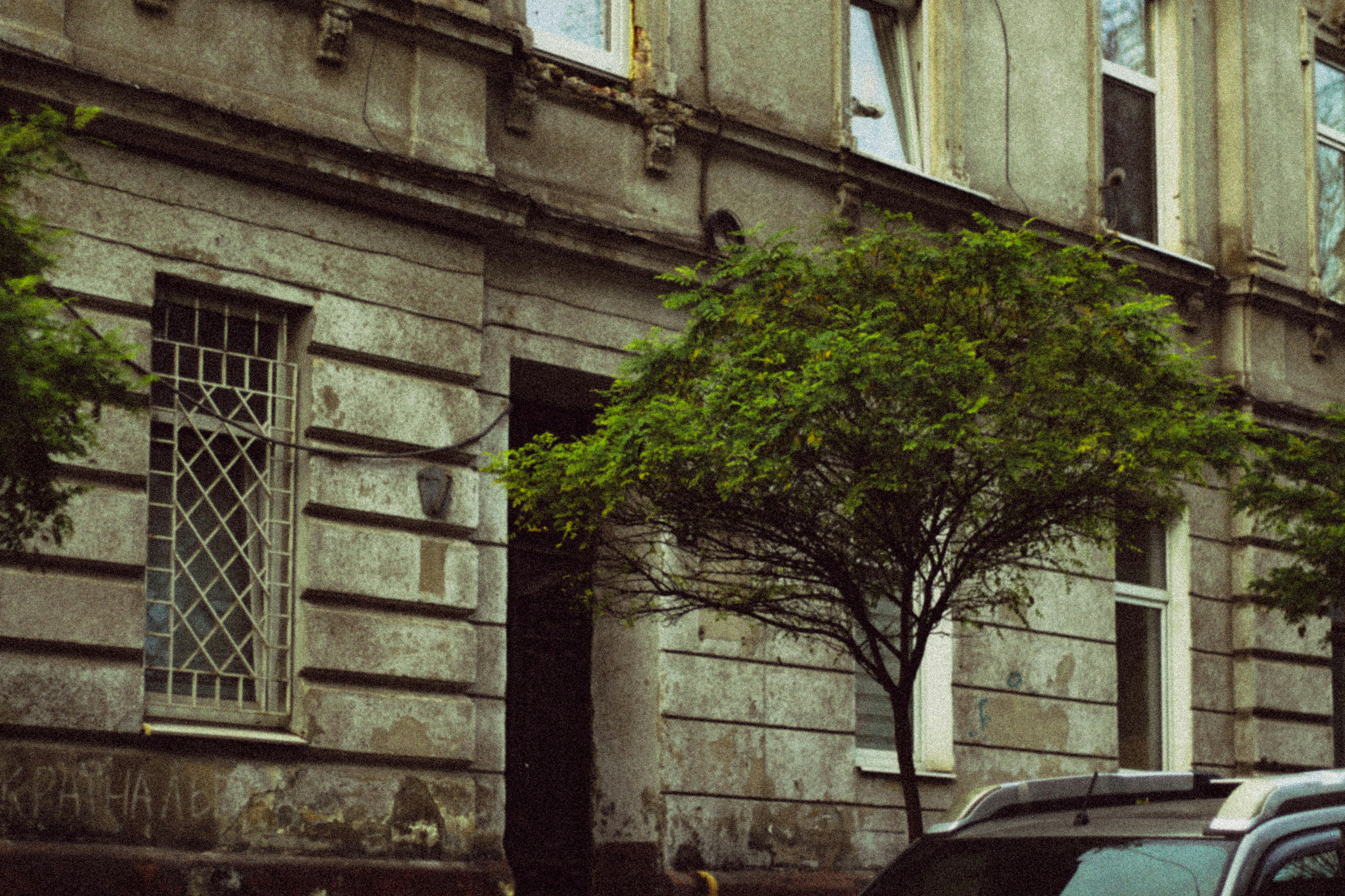 Photo by mineral_of_demon